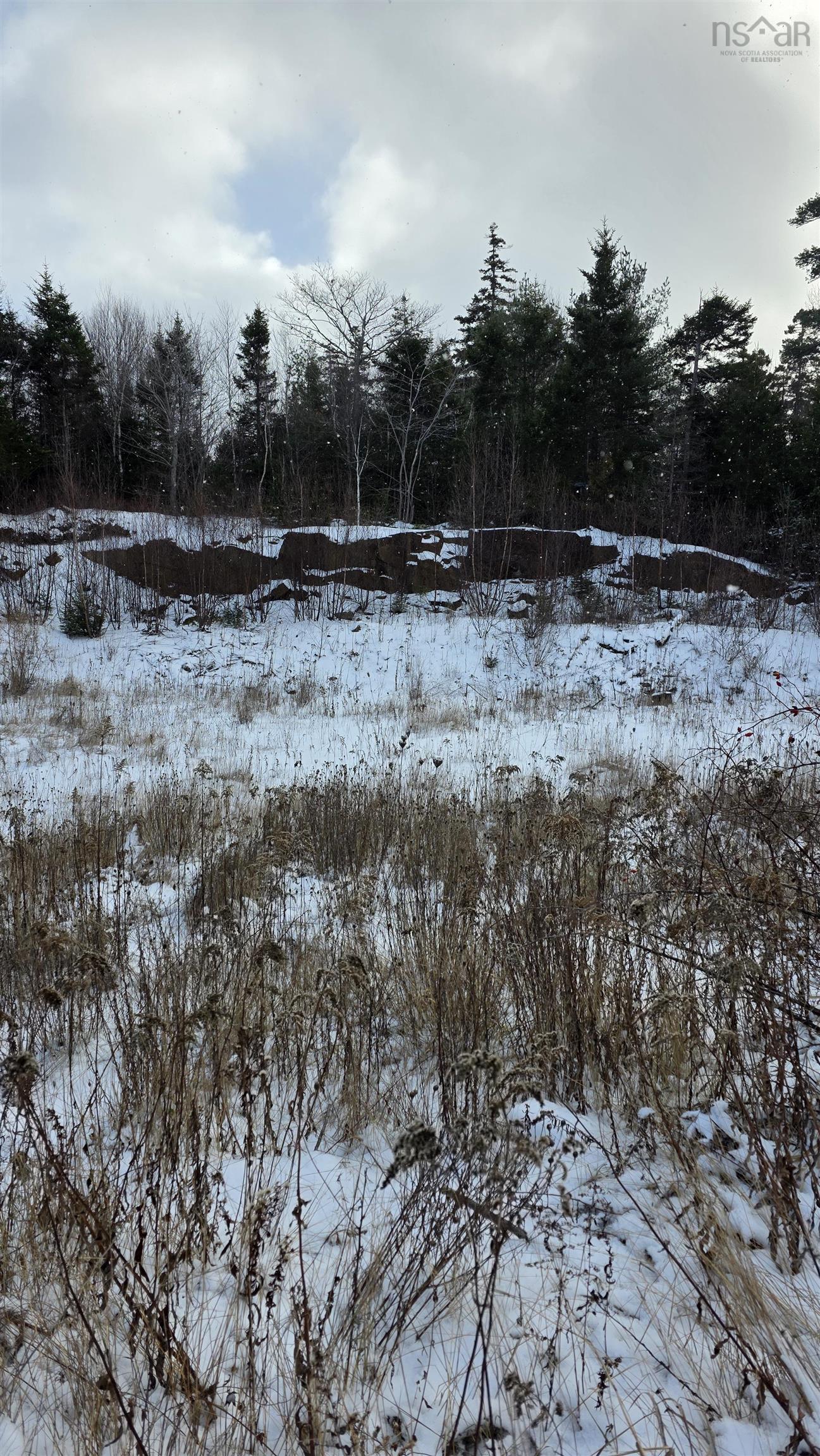 Sf13 16 Lauderdale Court, Halifax, NS (MLS 202529203)