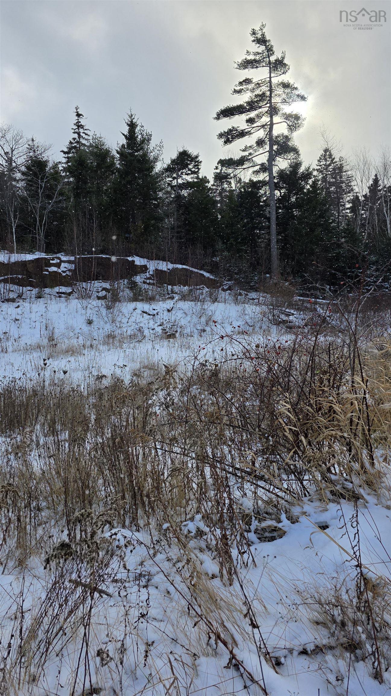 Sf13 16 Lauderdale Court, Halifax, NS (MLS 202529203)