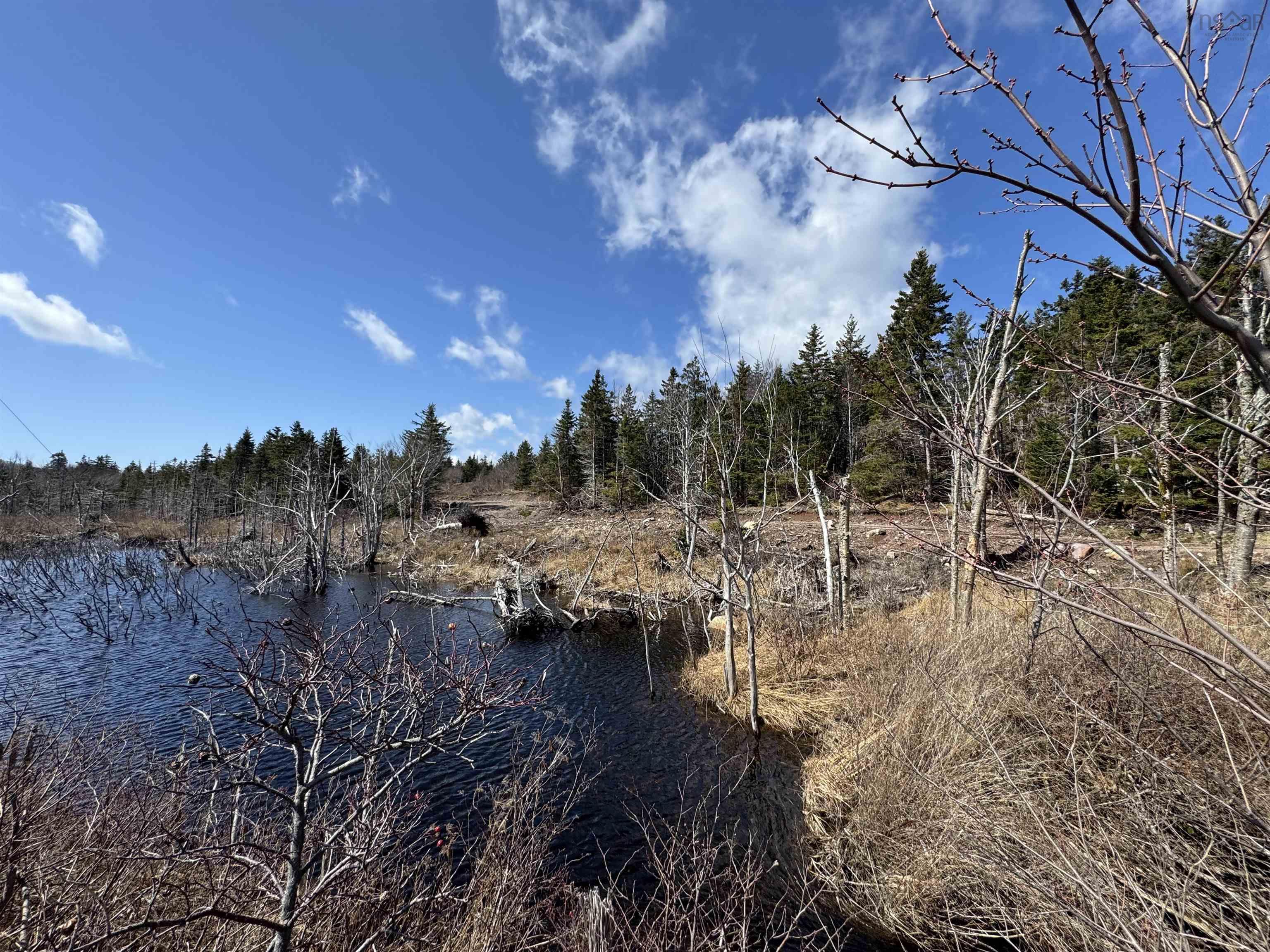 $139,900.00: 0 Glace Bay Catalone Road, Mira Gut