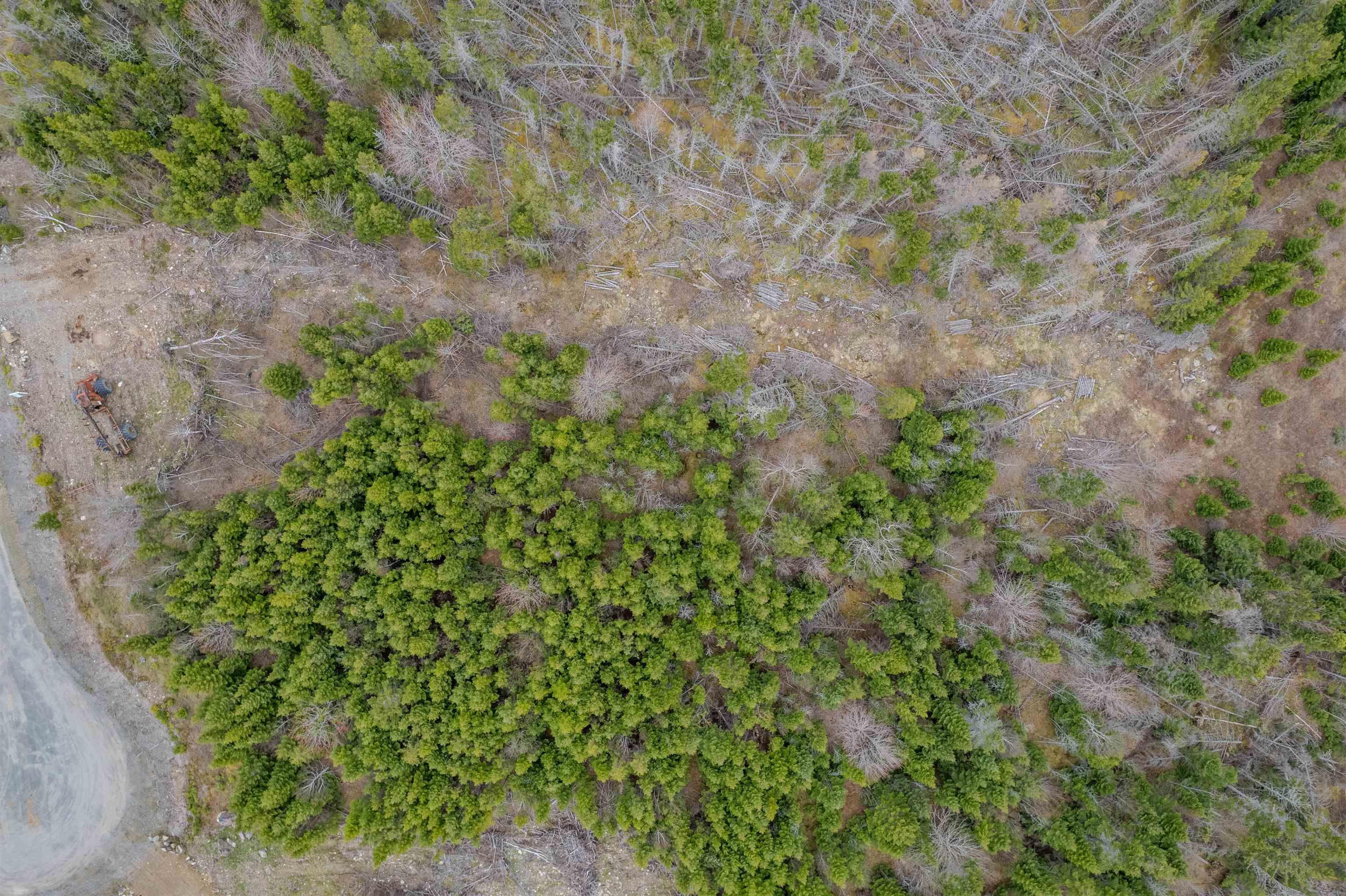 $32,900.00: Lot 8 Brewer Drive, Mira Gut