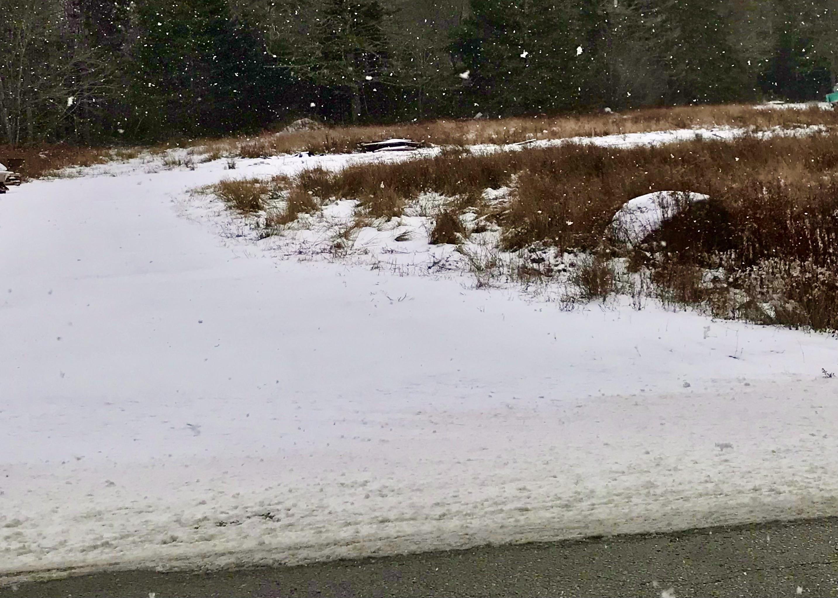 $45,000.00: 1246 Highway 340, South Ohio