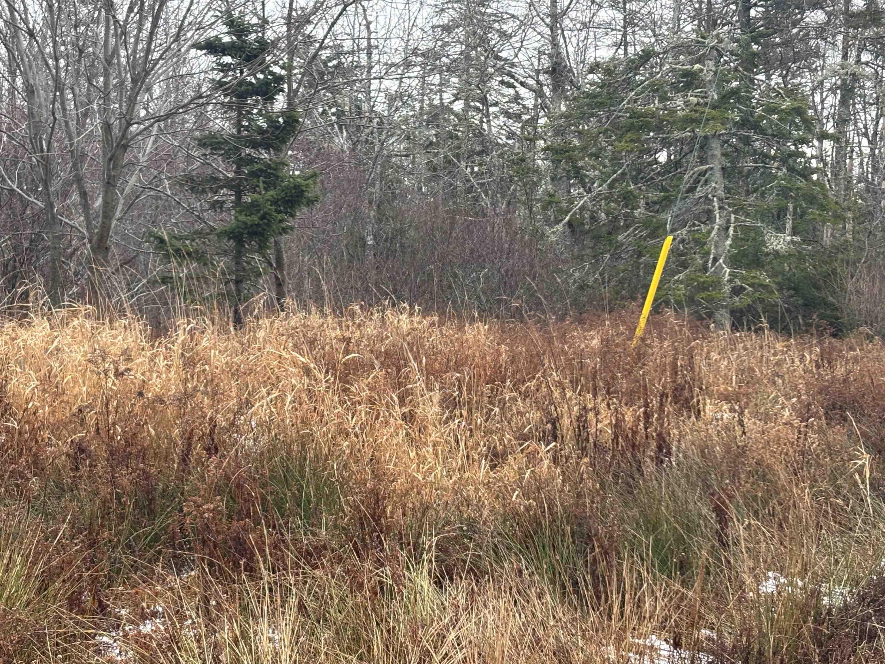 $45,000.00: 1254 Highway 340, South Ohio