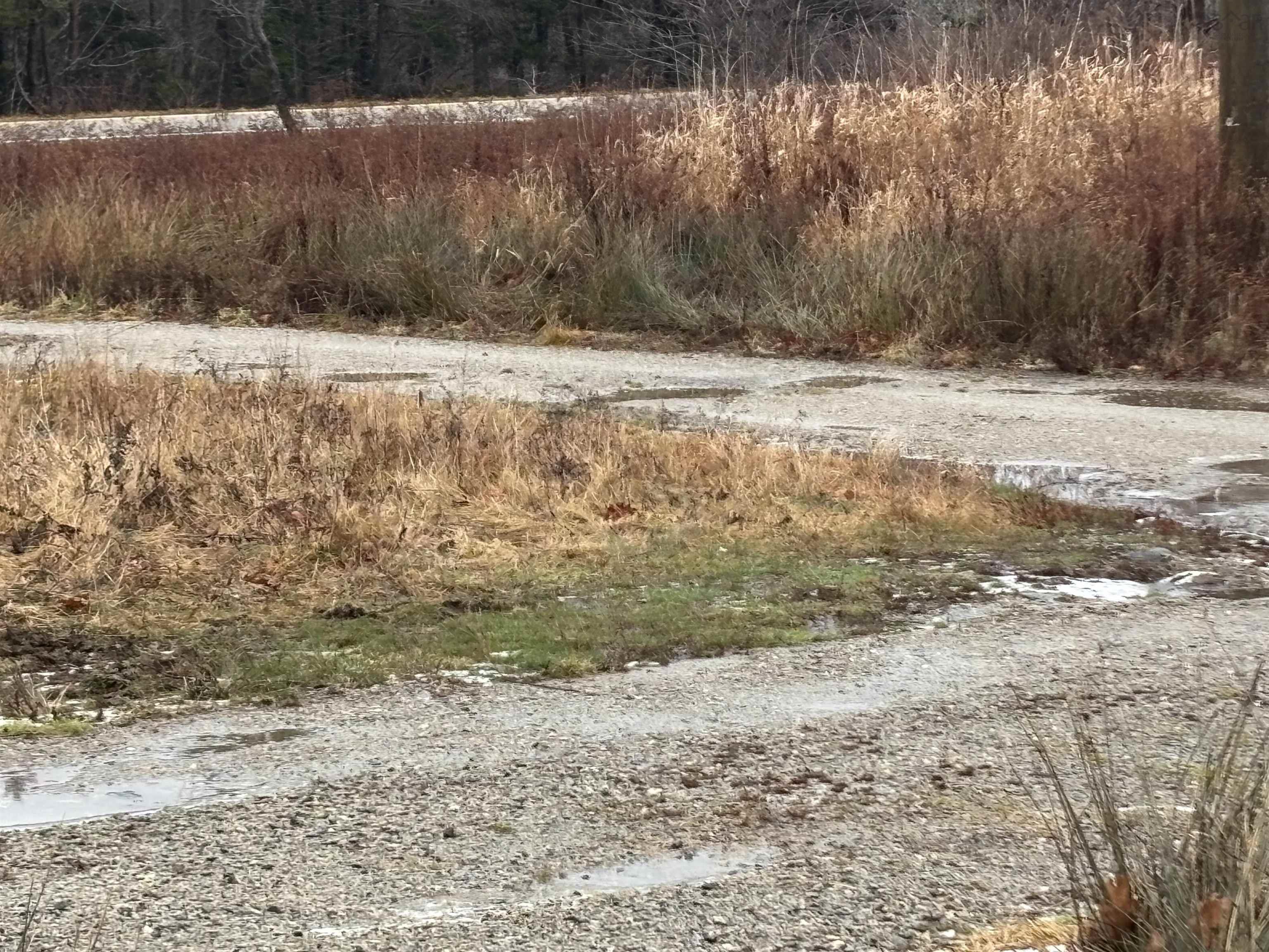 $45,000.00: 1254 Highway 340, South Ohio