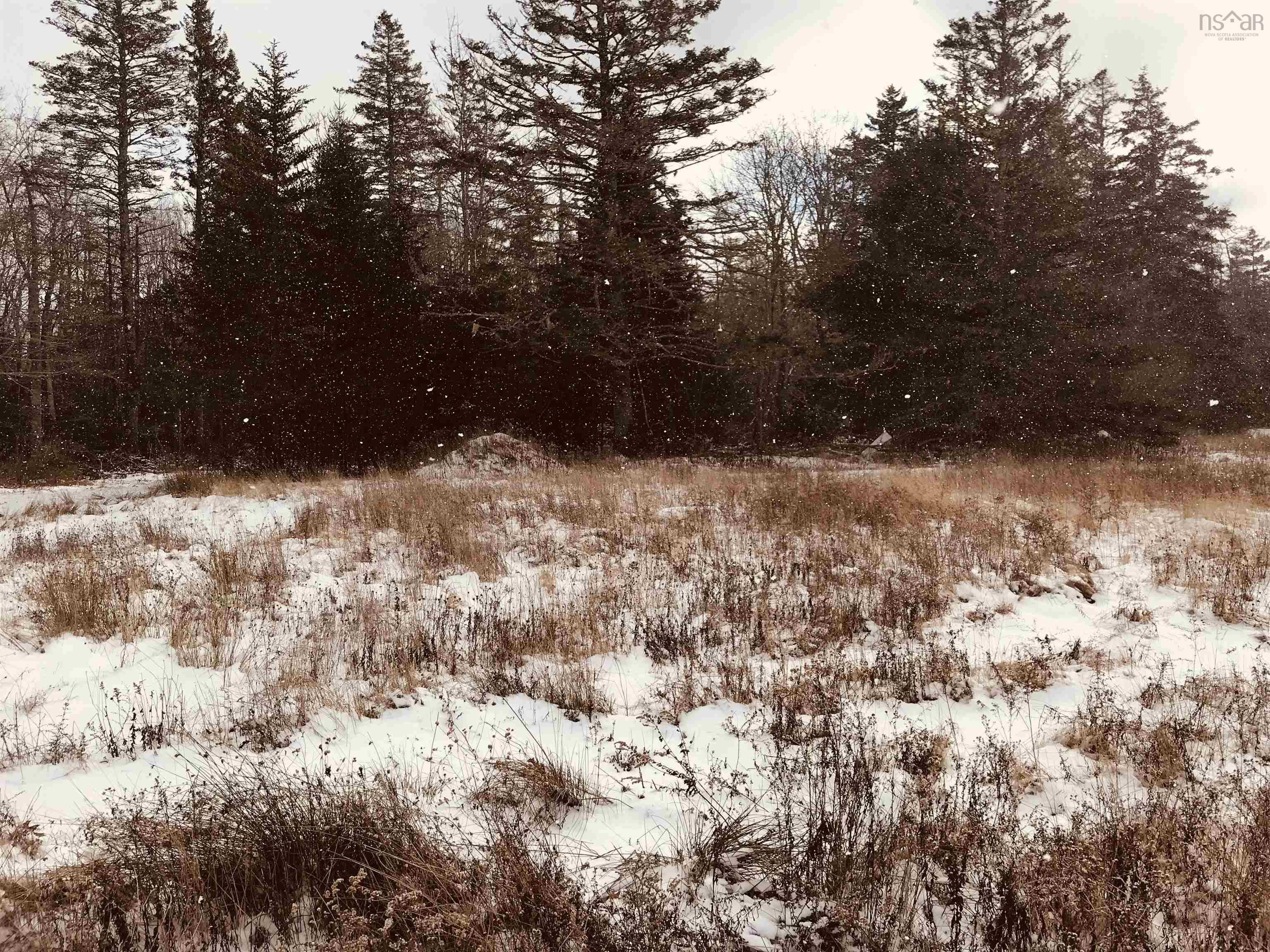 $45,000.00: 1246 Highway 340, South Ohio