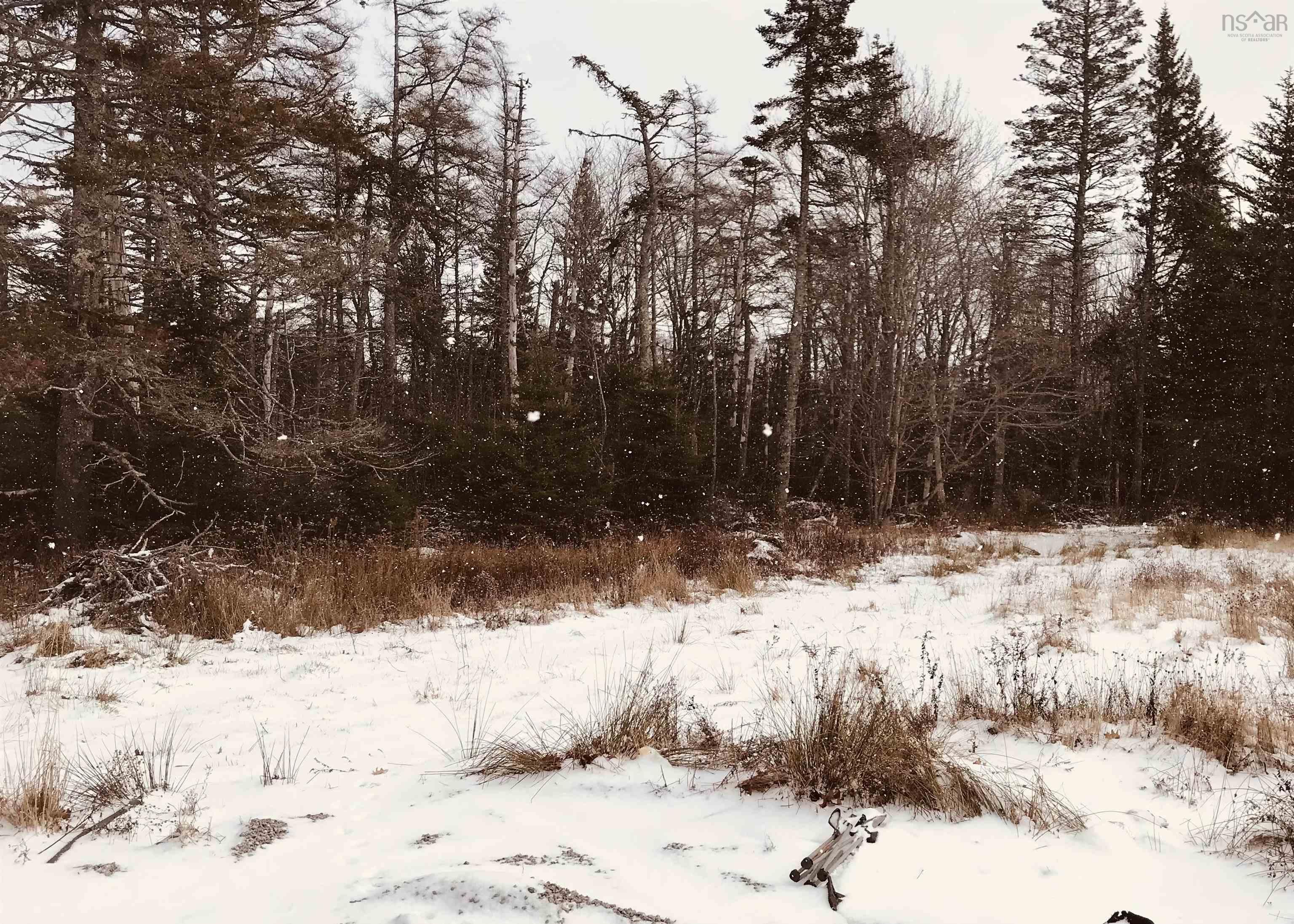 $45,000.00: 1246 Highway 340, South Ohio