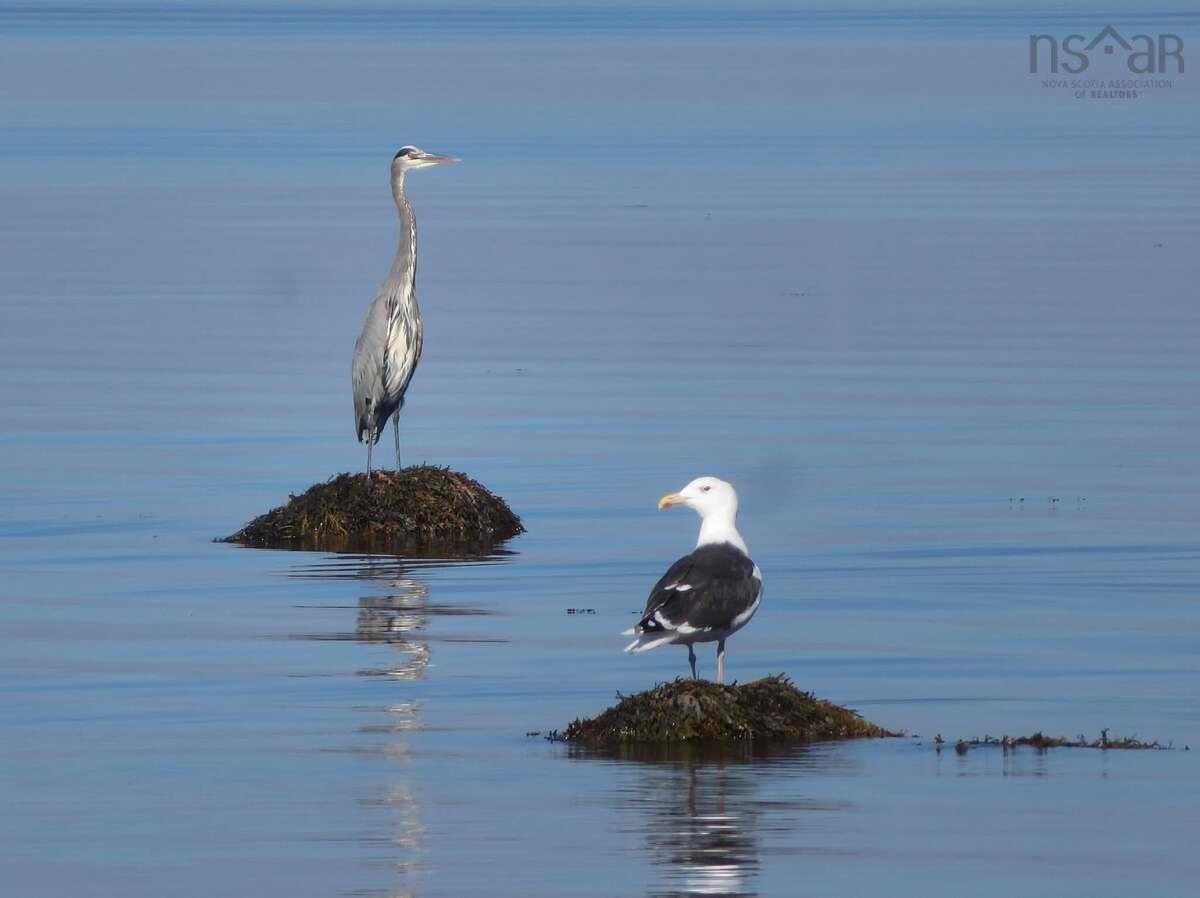 $339,000.00: 259 Big Tancook Island Road, Big Tancook Island