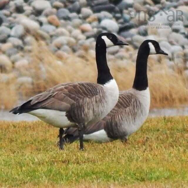 $339,000.00: 259 Big Tancook Island Road, Big Tancook Island