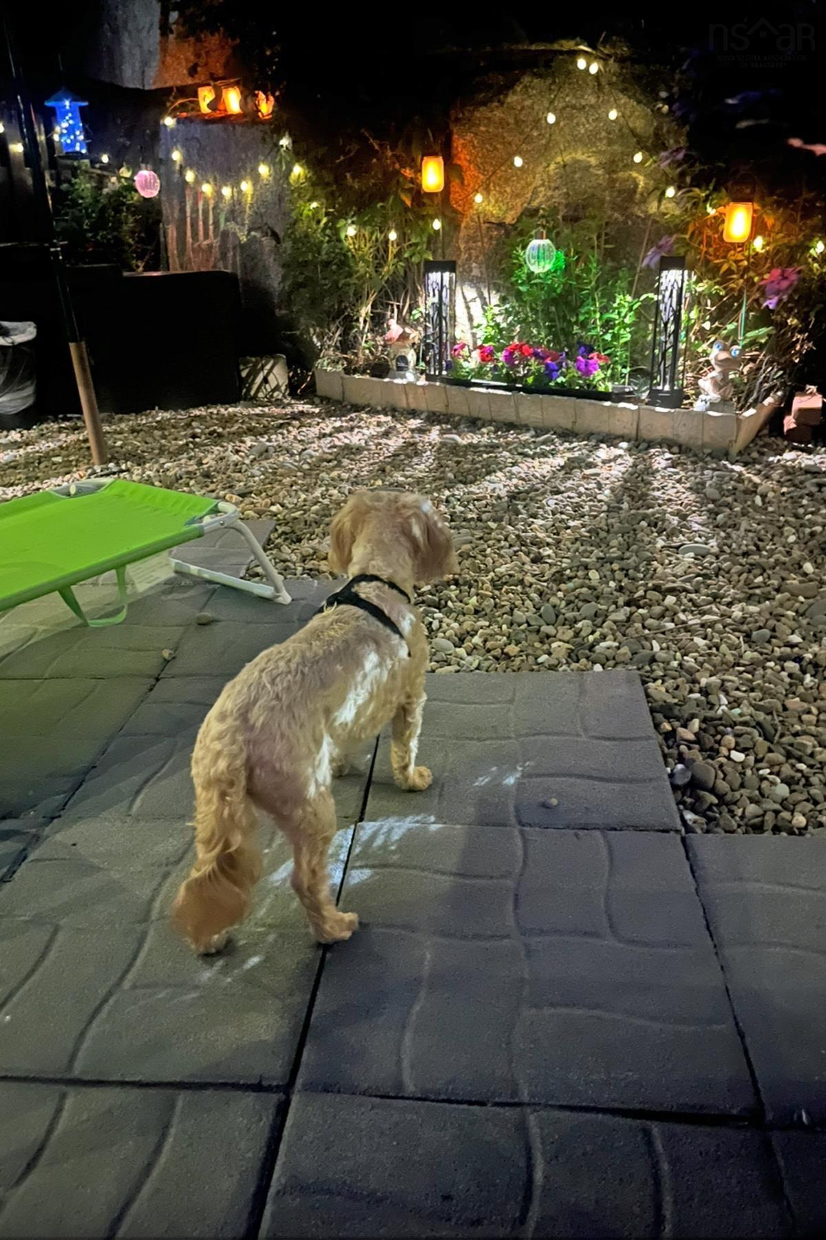 $375,000.00: 78 Bromley Road, Spryfield