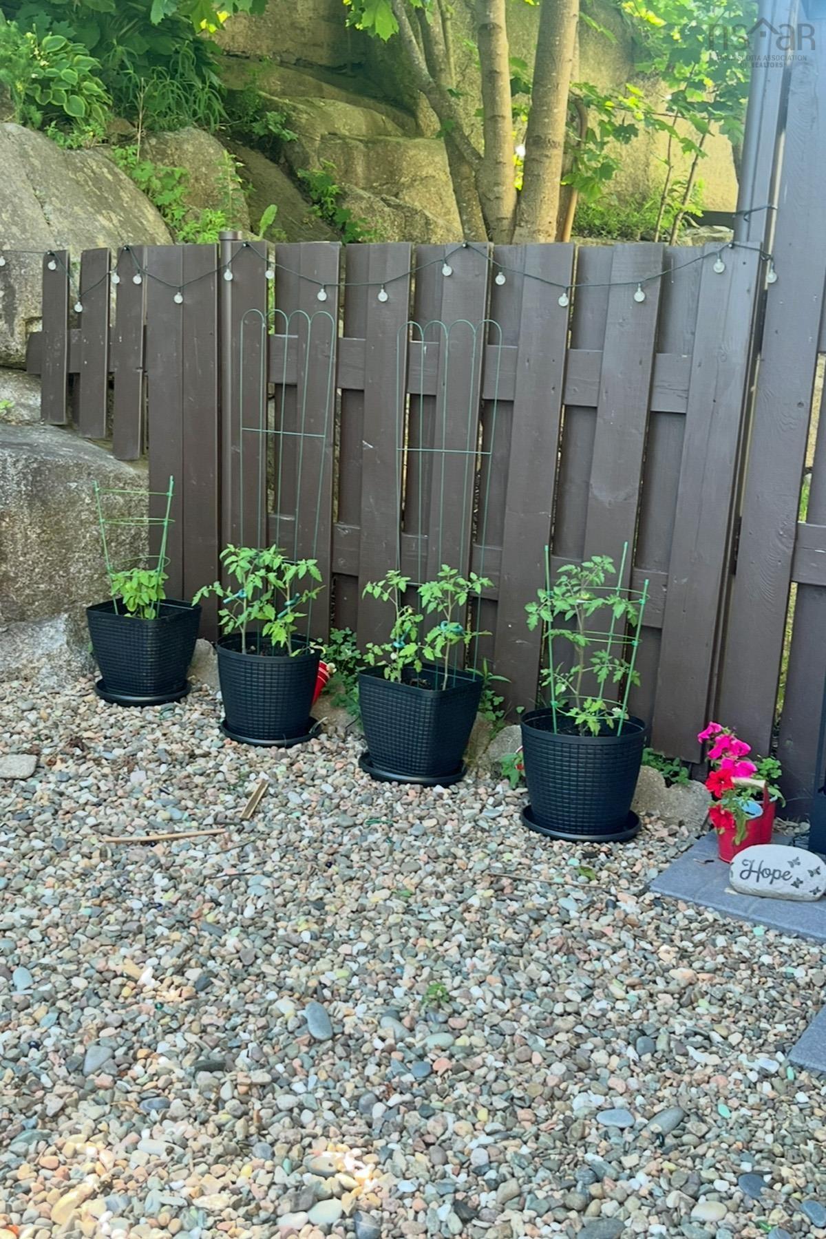 $375,000.00: 78 Bromley Road, Spryfield