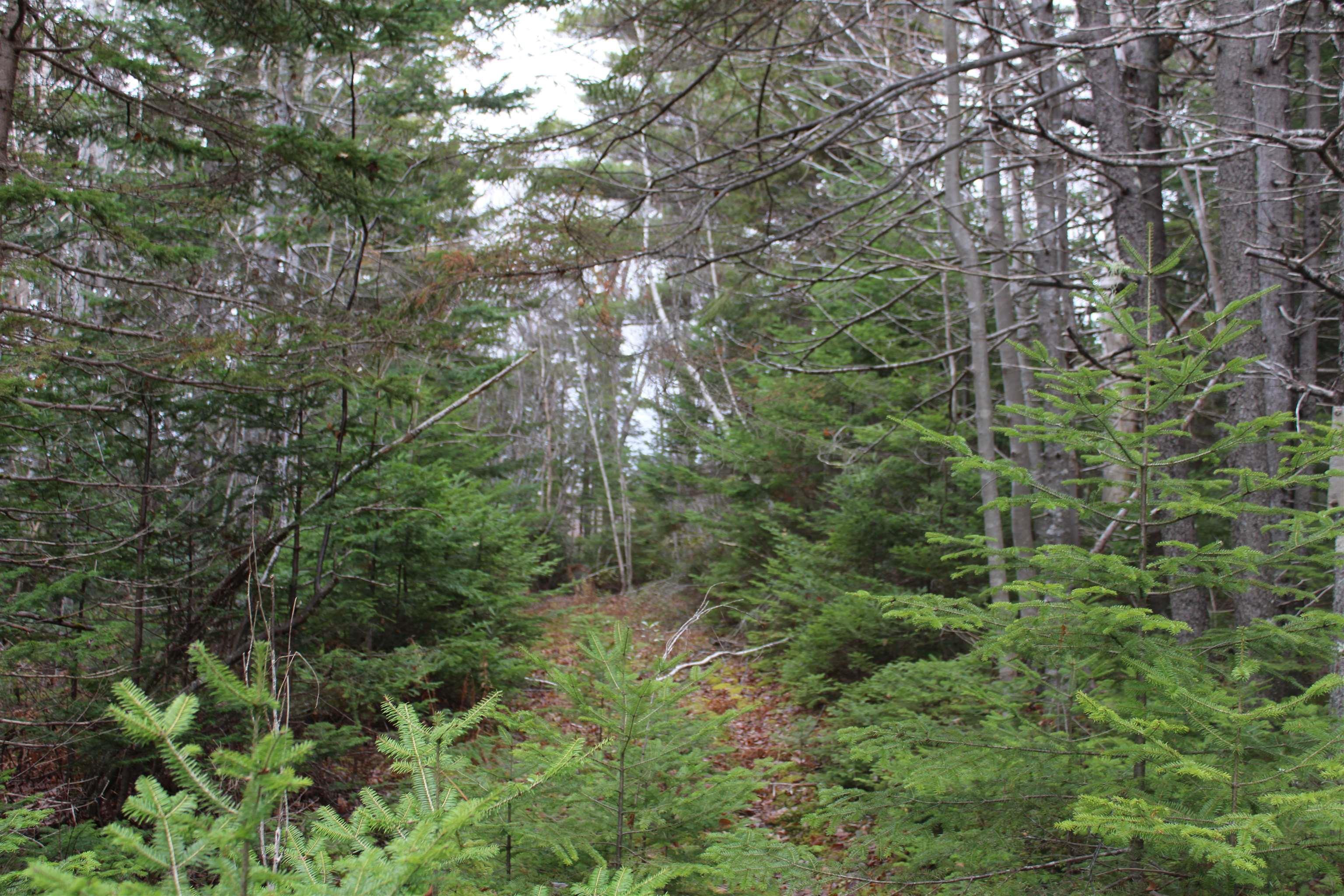 $32,000.00: Lot Mirror Point Drive, Graywood