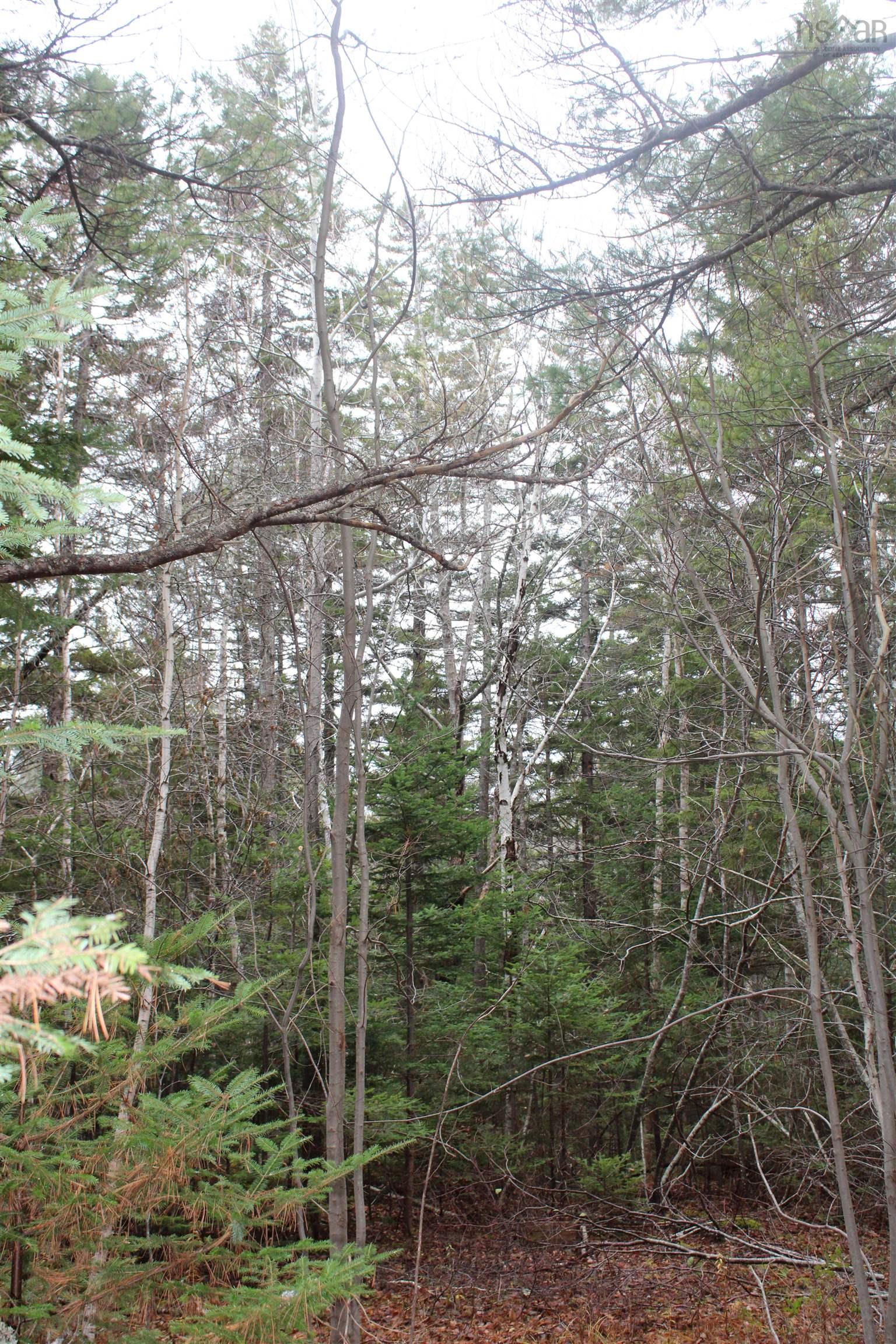 $32,000.00: Lot Mirror Point Drive, Graywood