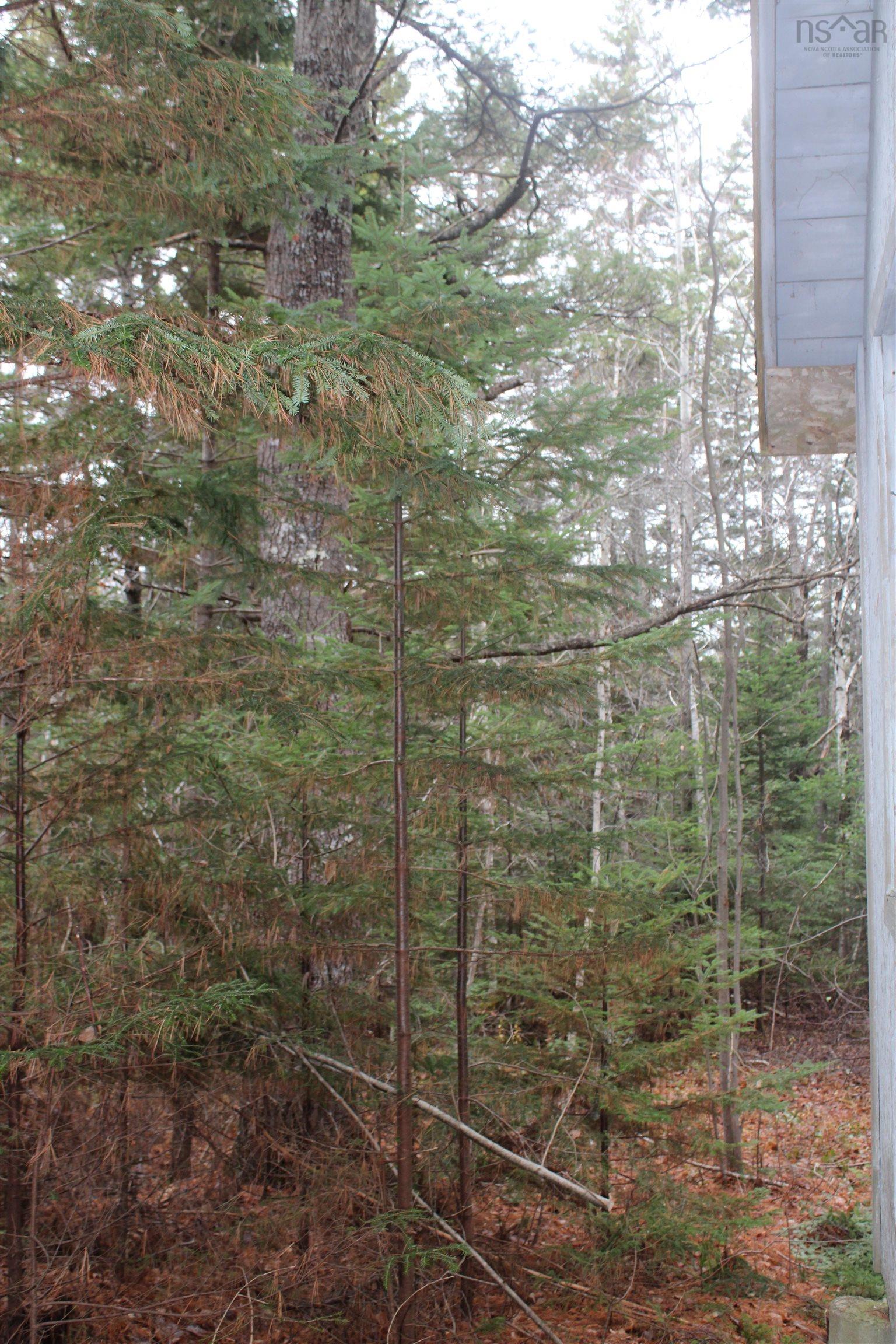 $32,000.00: Lot Mirror Point Drive, Graywood