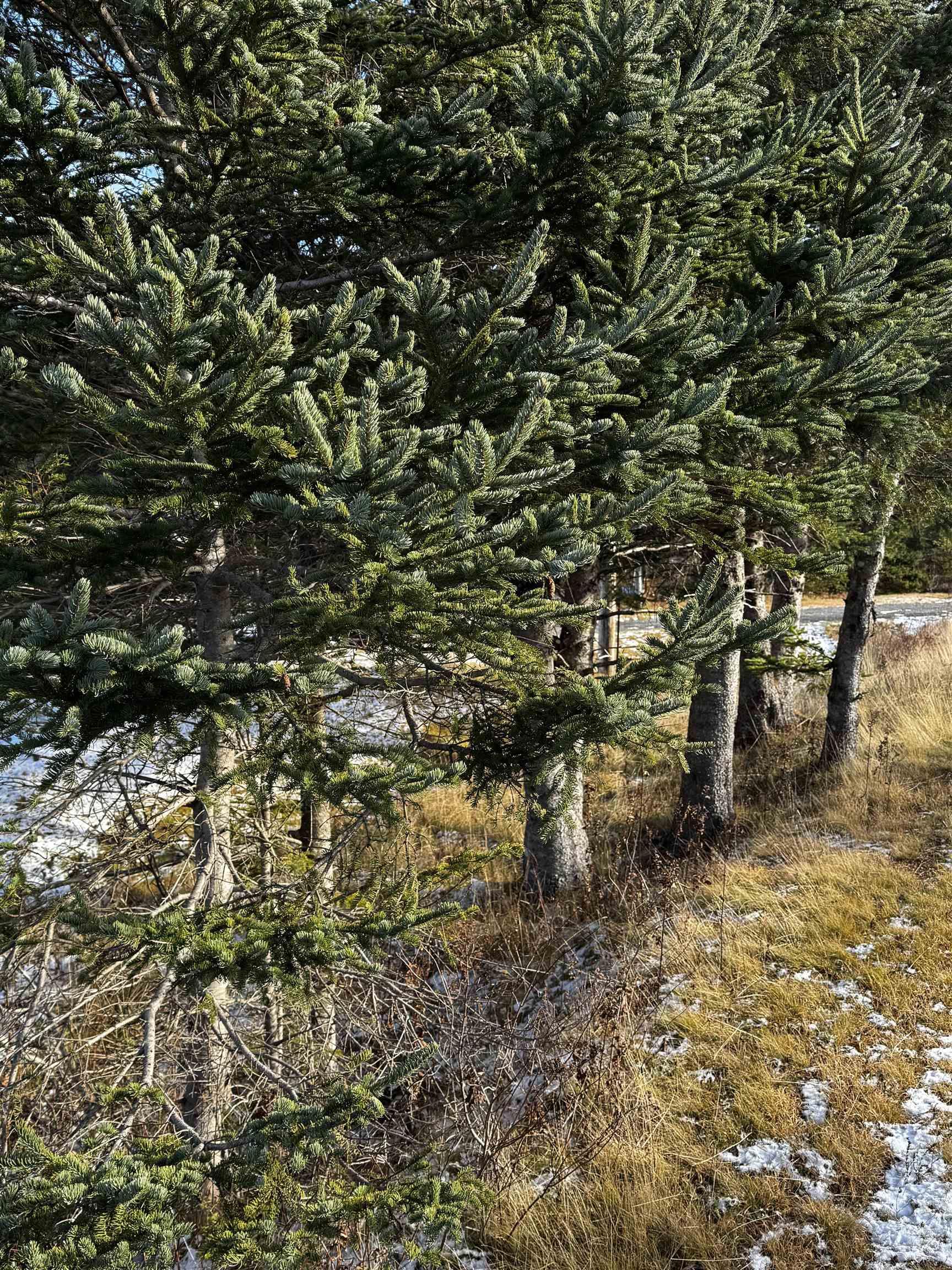 $200,000.00: 3818 316 Highway, Cole Harbour