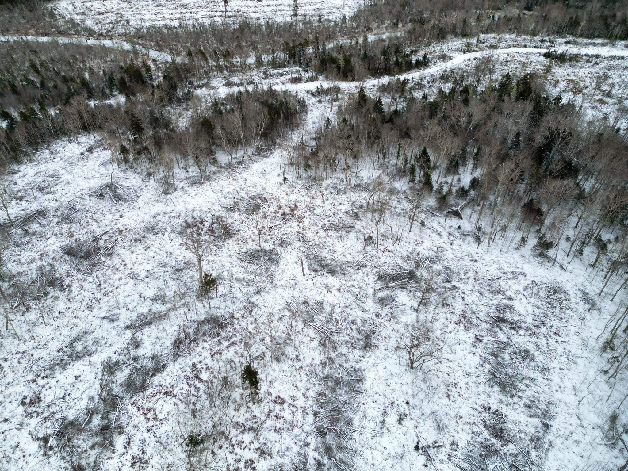 $120,000.00: Lot Hectanooga Road, Mayflower