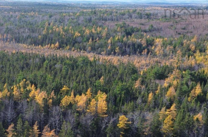 $45,000.00: Lot Gabarus Highway, Dutch Brook