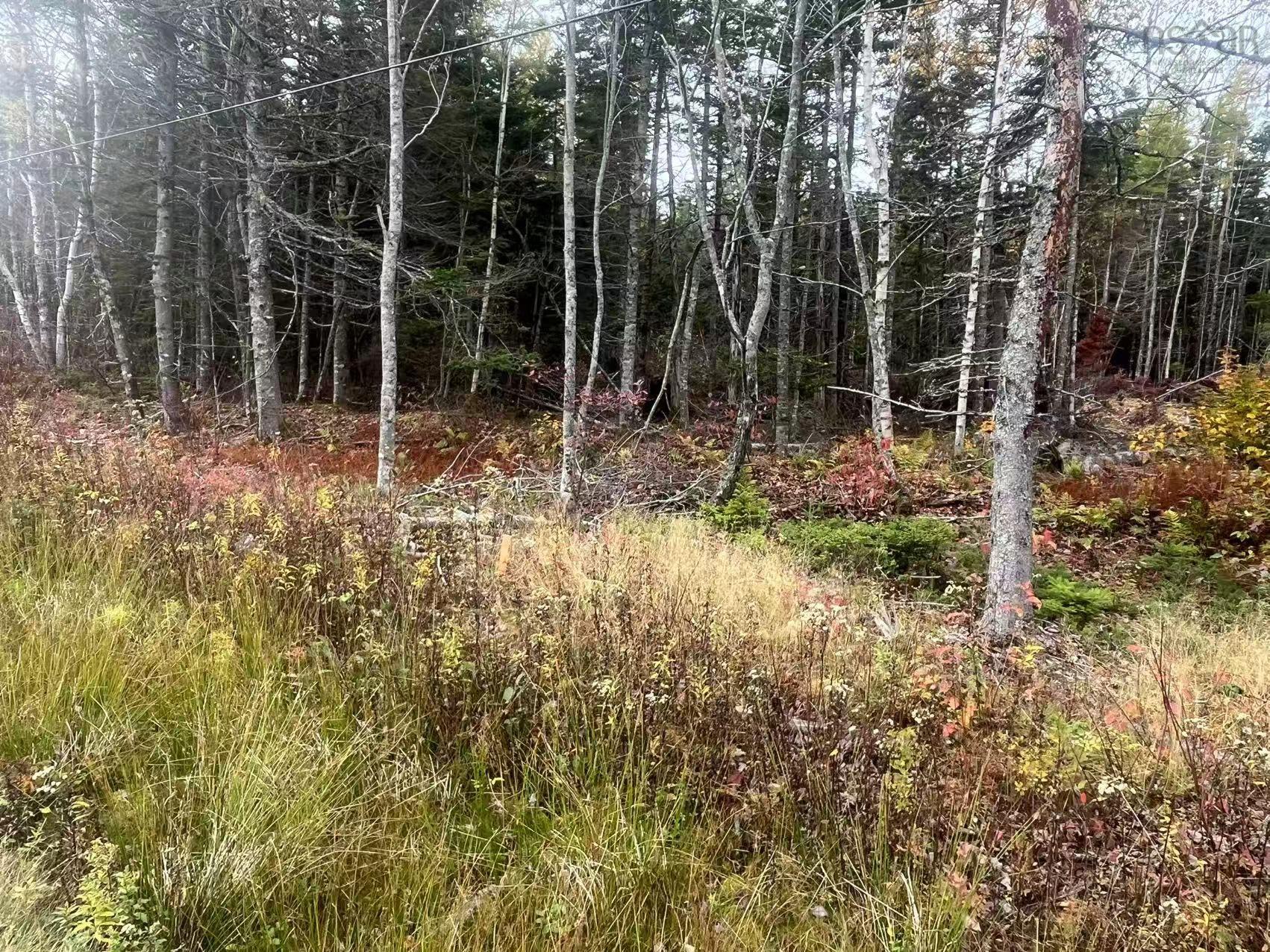 $45,000.00: Lot Gabarus Highway, Dutch Brook