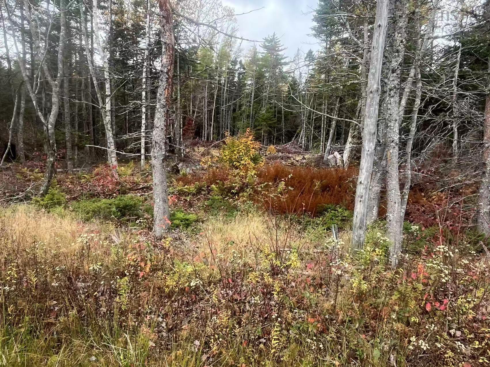 $45,000.00: Lot Gabarus Highway, Dutch Brook