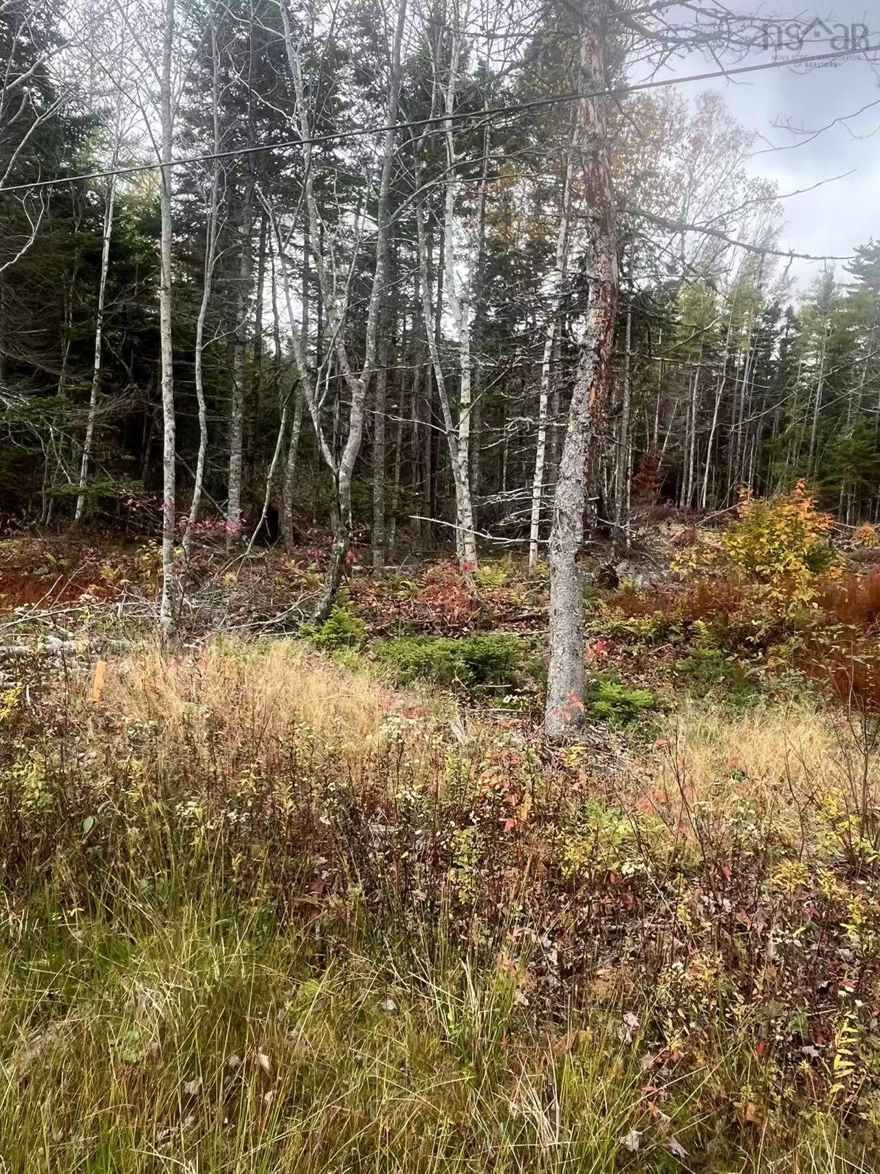 $45,000.00: Lot Gabarus Highway, Dutch Brook