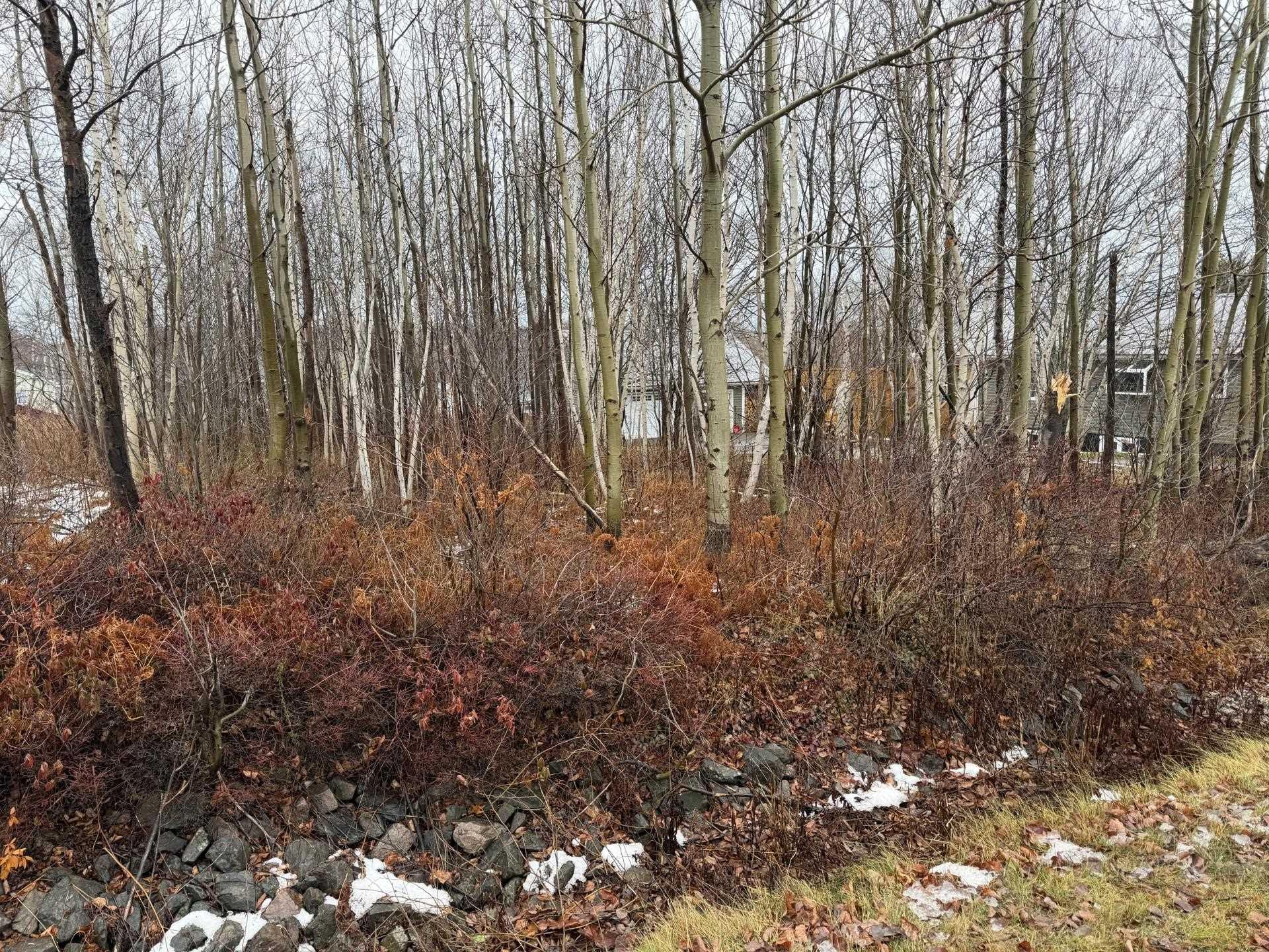 $30,000.00: lot 76 Yorke Street, Sydney Mines