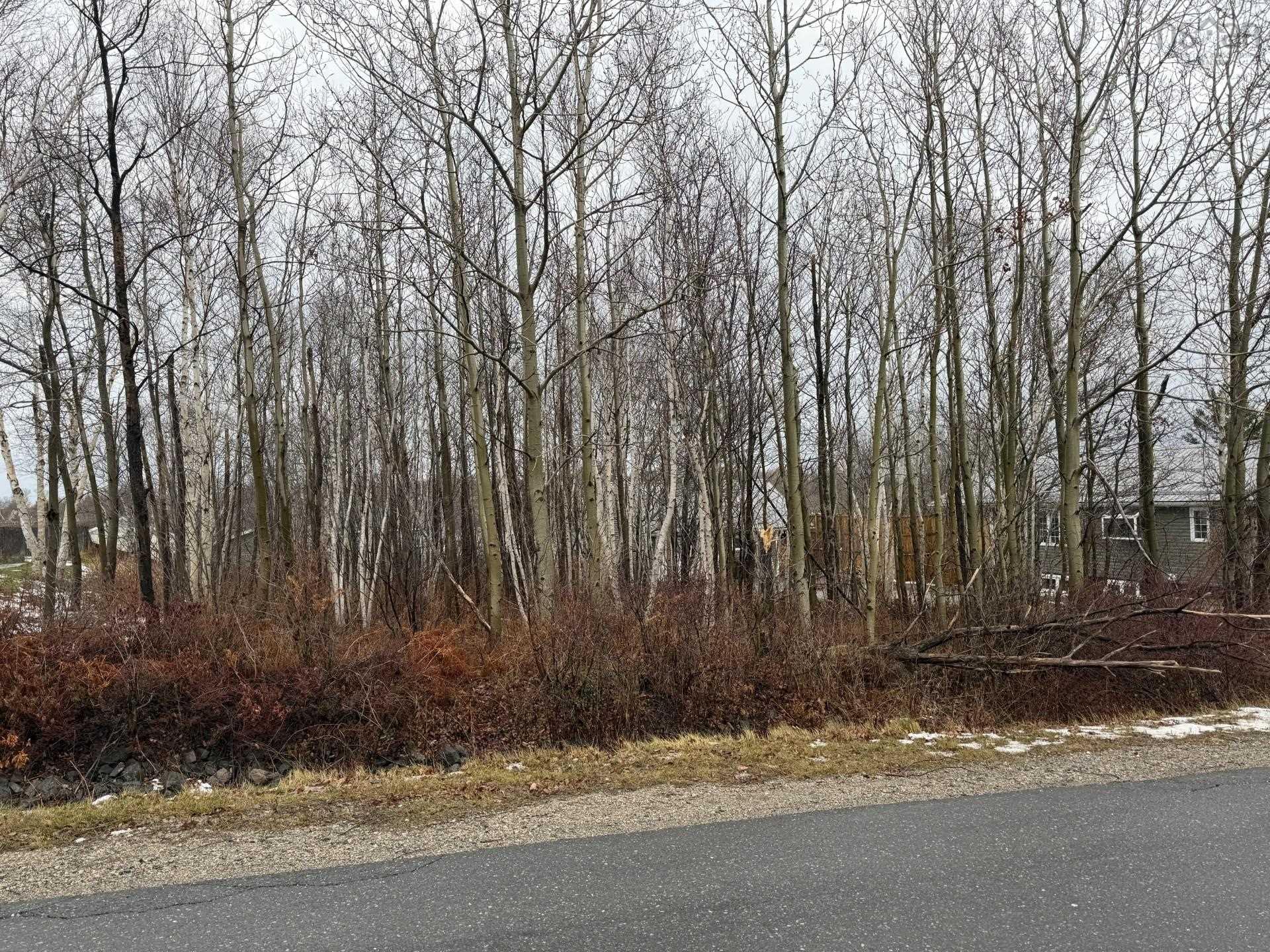 $30,000.00: lot 76 Yorke Street, Sydney Mines