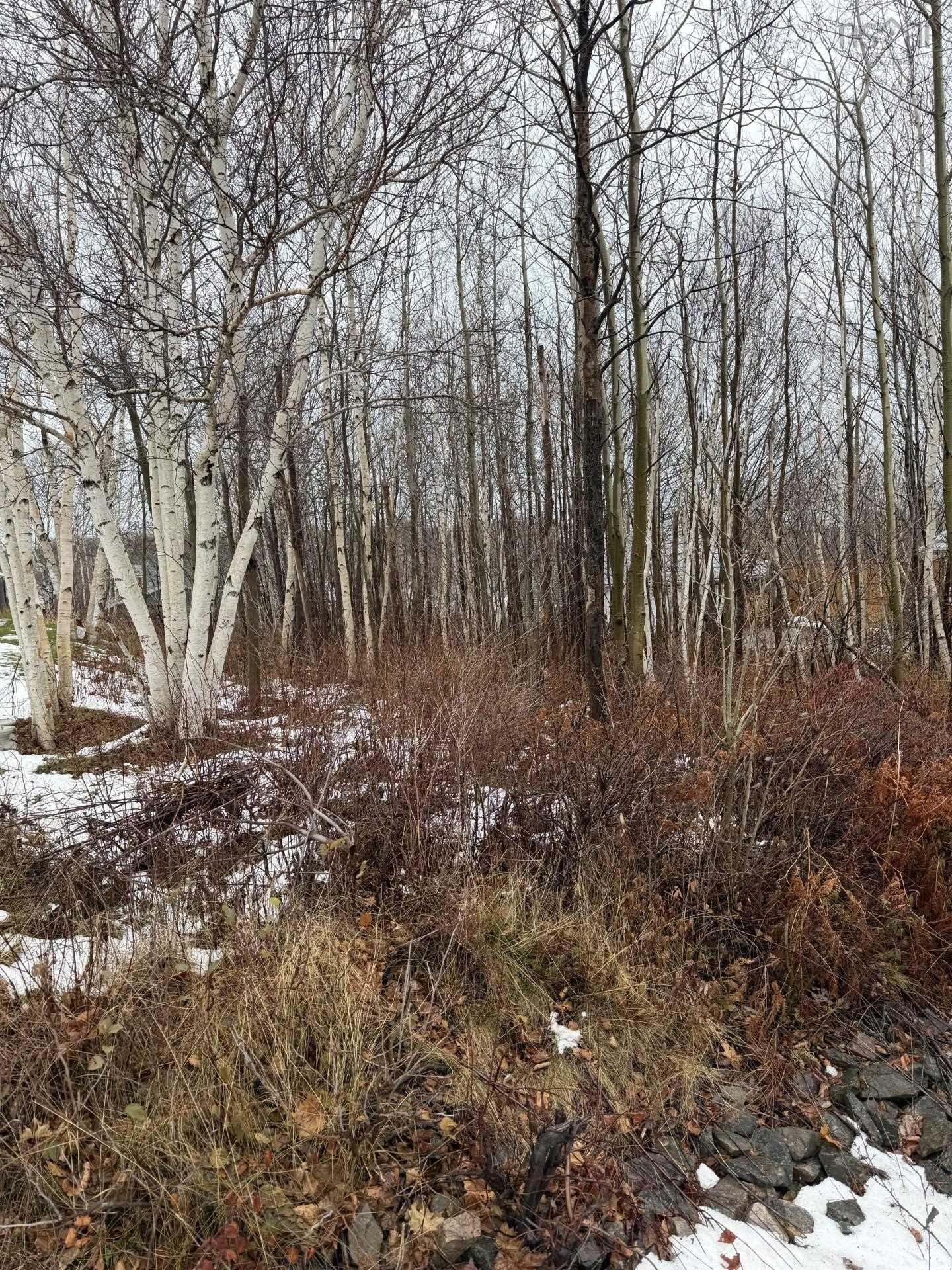 $30,000.00: lot 76 Yorke Street, Sydney Mines