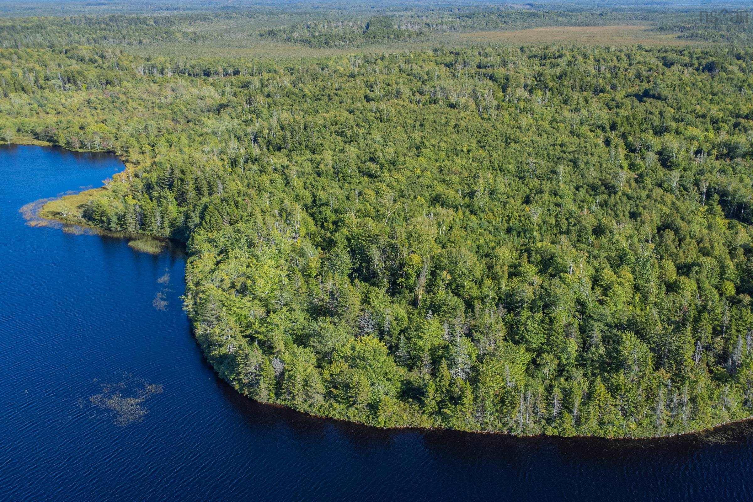 $42,500.00: Ruel Du Lac Gaspereau, Mayflower