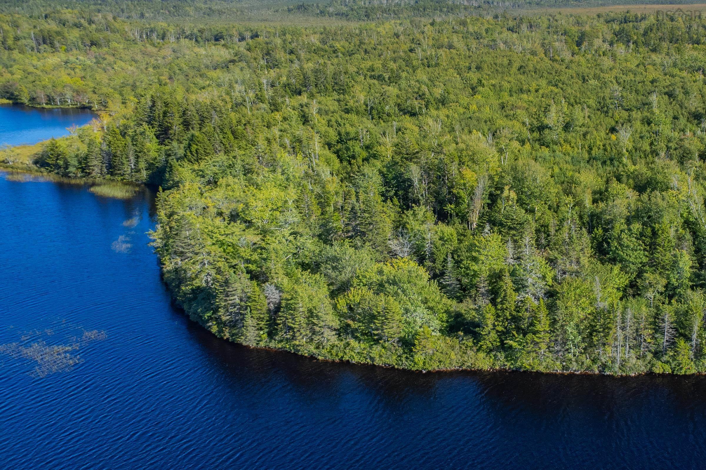 $42,500.00: Ruel Du Lac Gaspereau, Mayflower