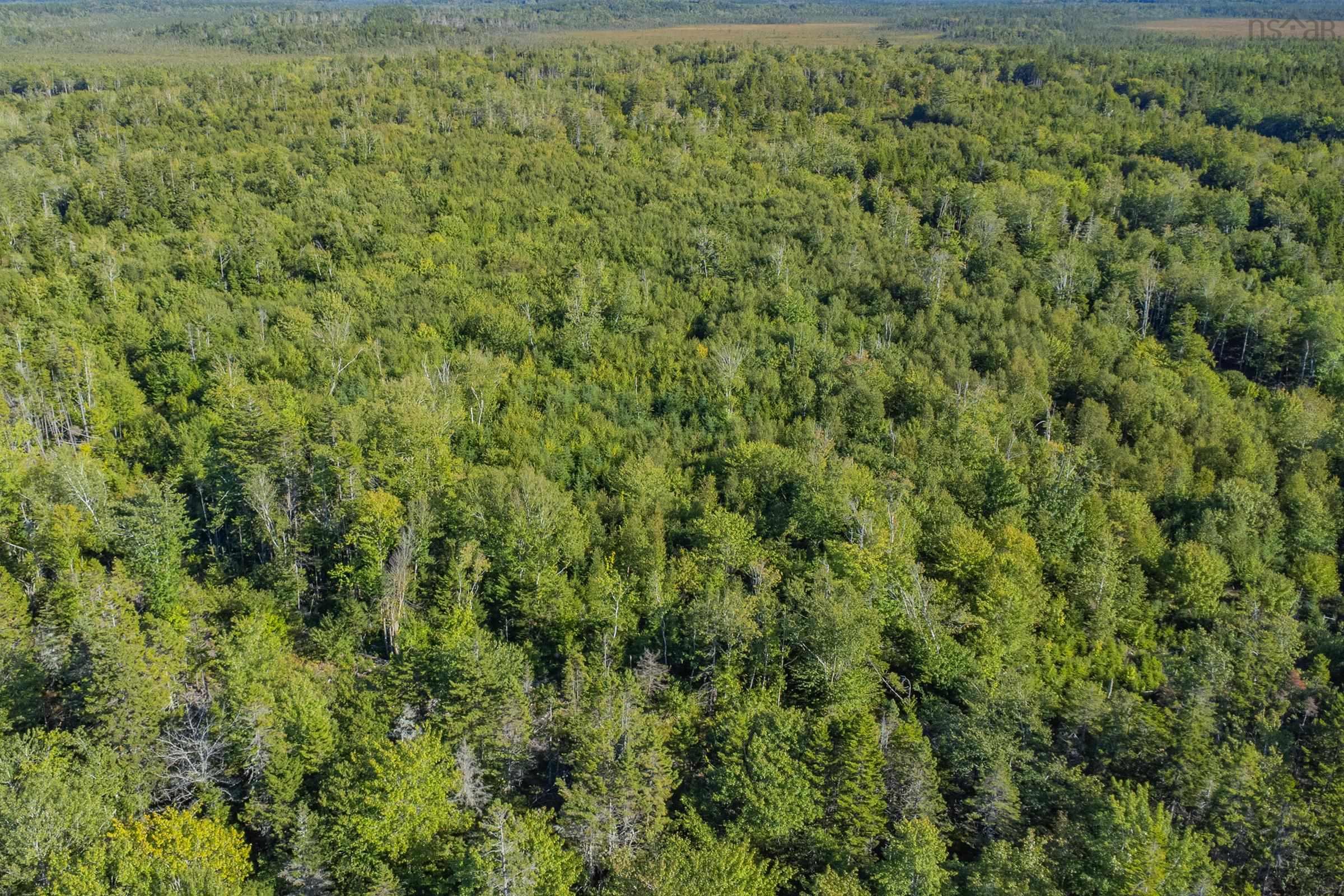 $42,500.00: Ruel Du Lac Gaspereau, Mayflower