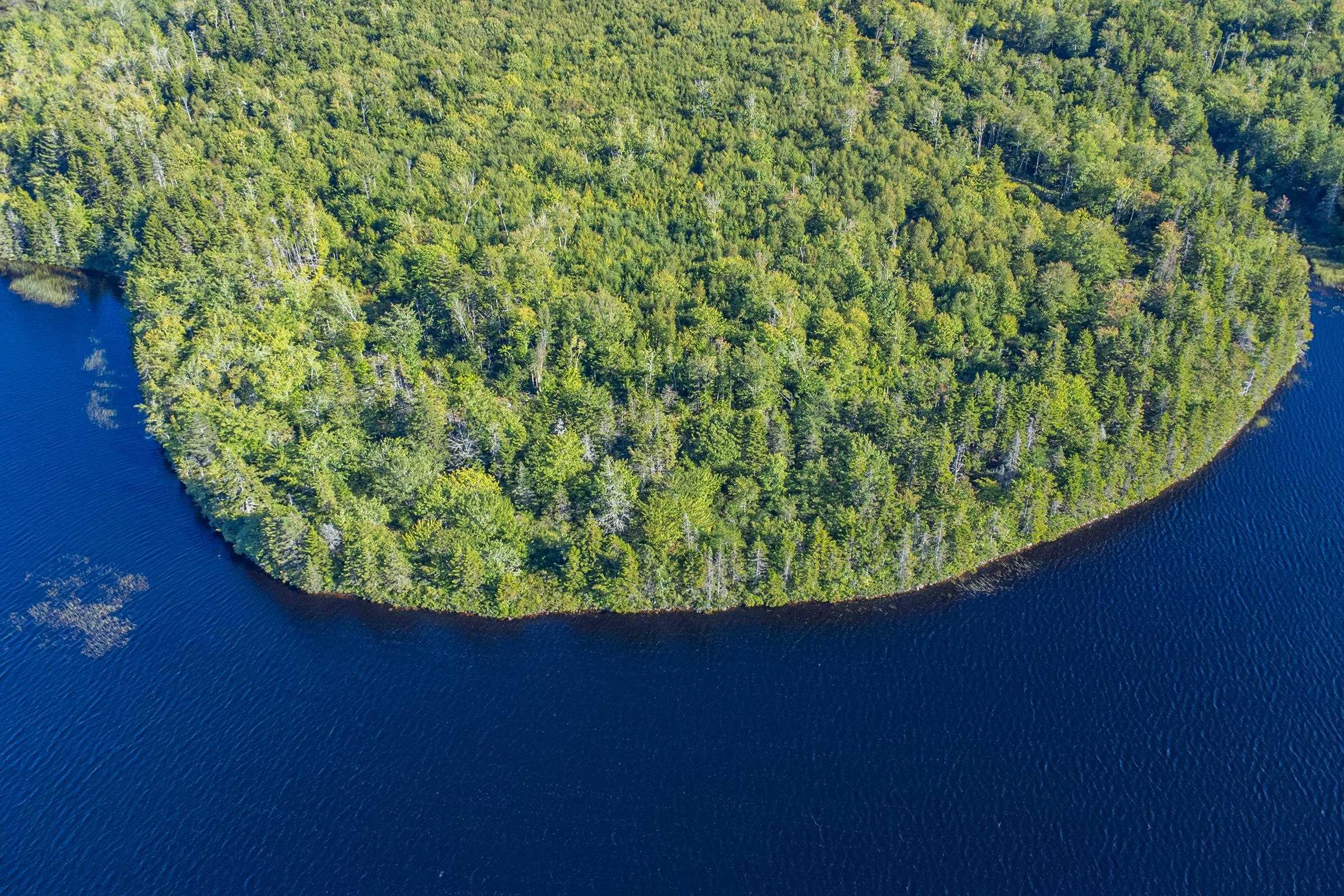 $42,500.00: Ruel Du Lac Gaspereau, Mayflower