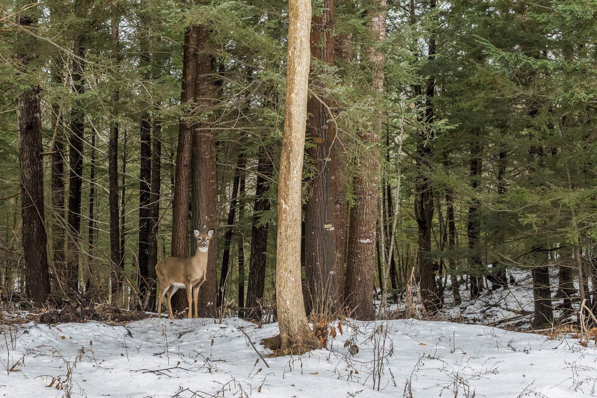 $525,000.00: 41 MacDonald Park Road, Kentville