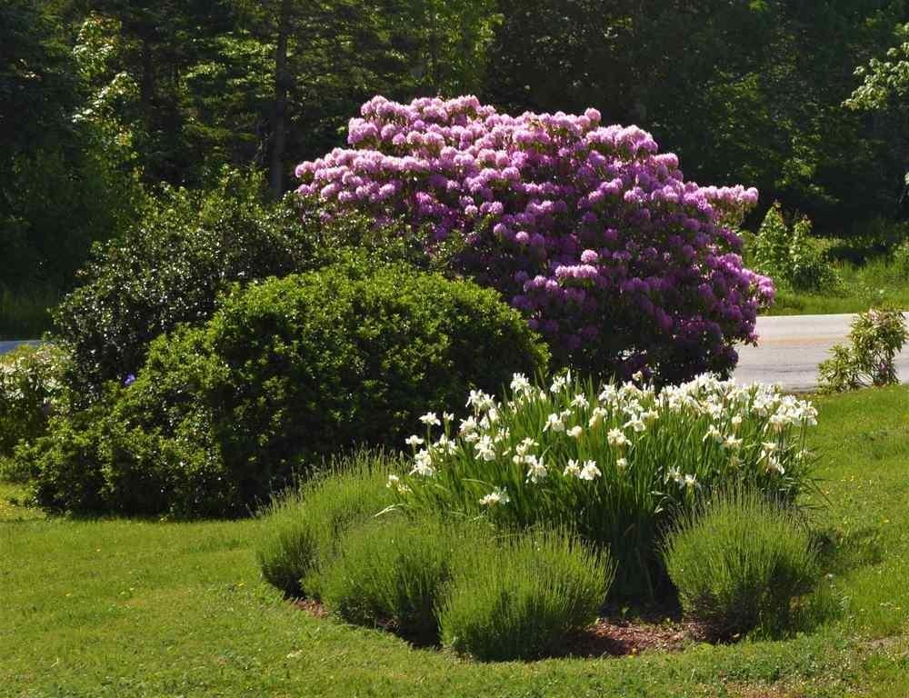 $649,900.00: 5888 331 Highway, Petite Rivière