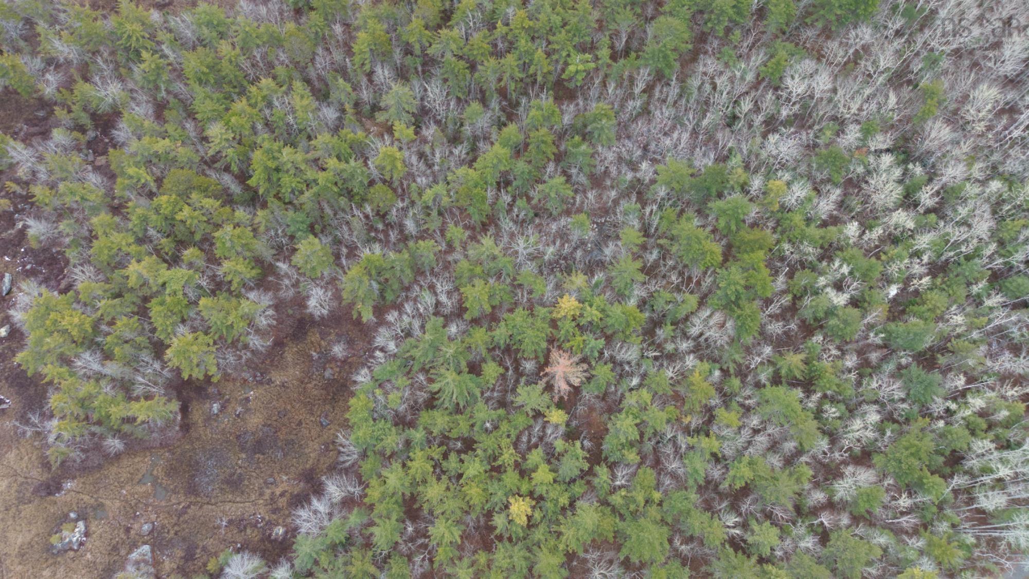 $130,000.00: Harbour Acress Road, Molega