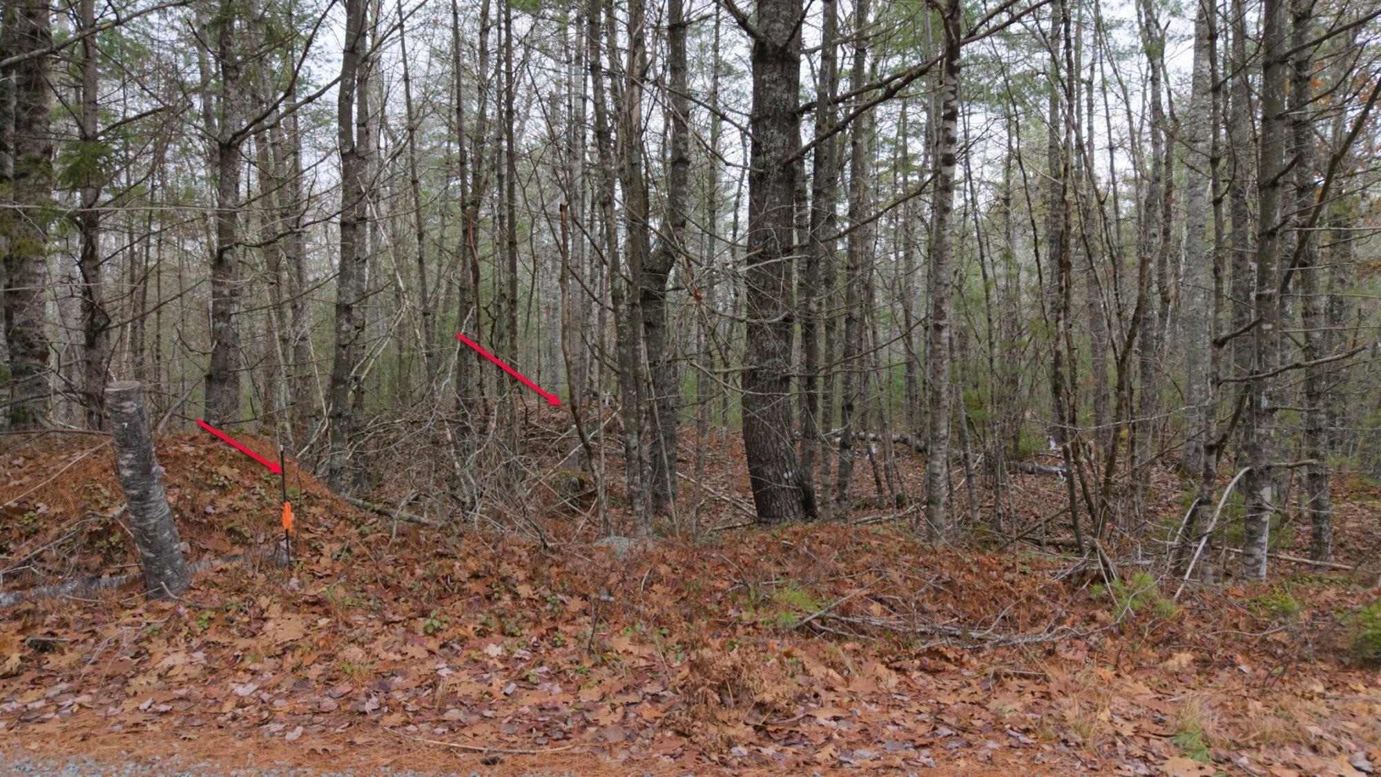 $130,000.00: Harbour Acress Road, Molega