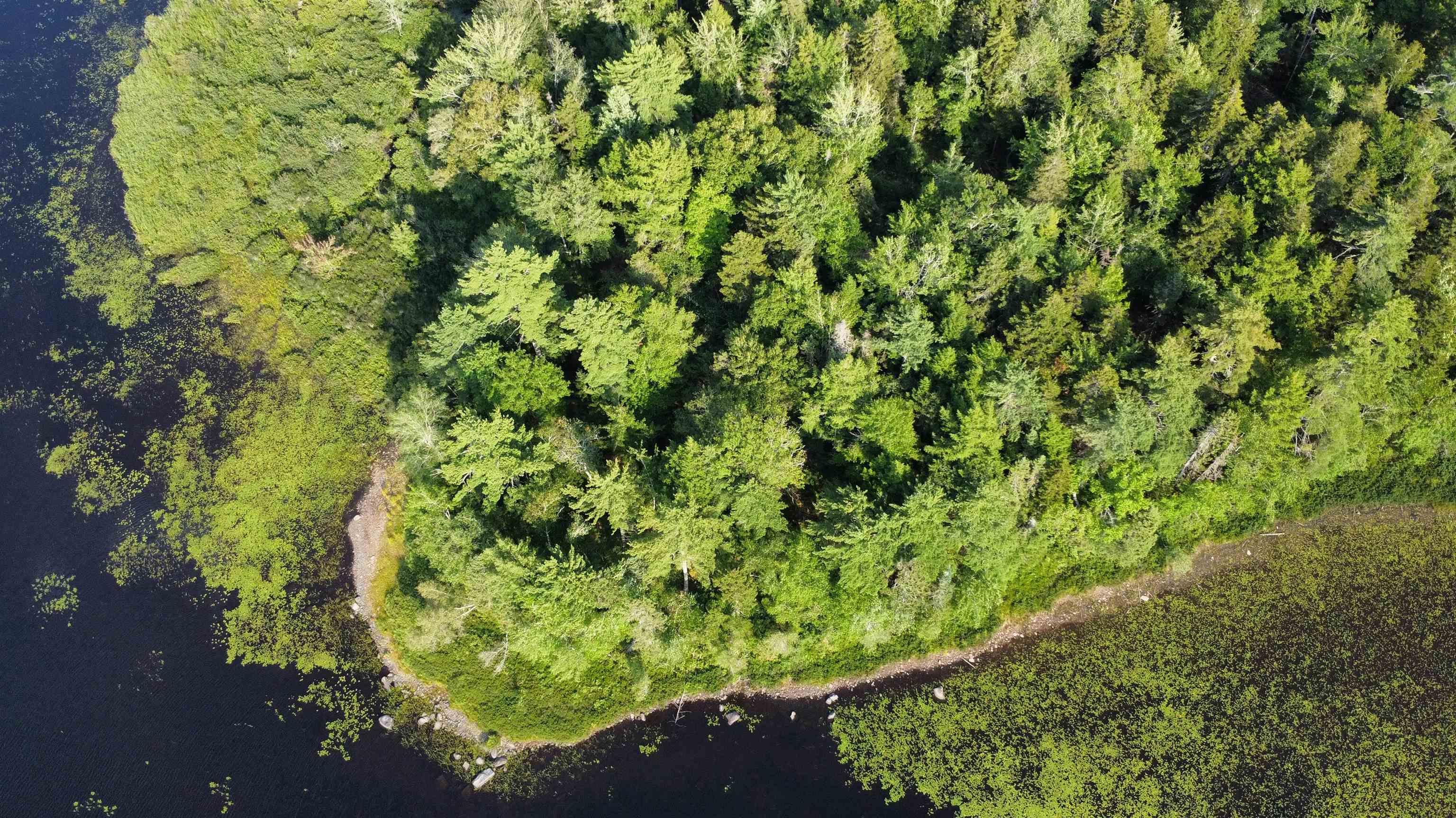 $25,000.00: Lot PID# 60668795 Highway 325, West Clifford