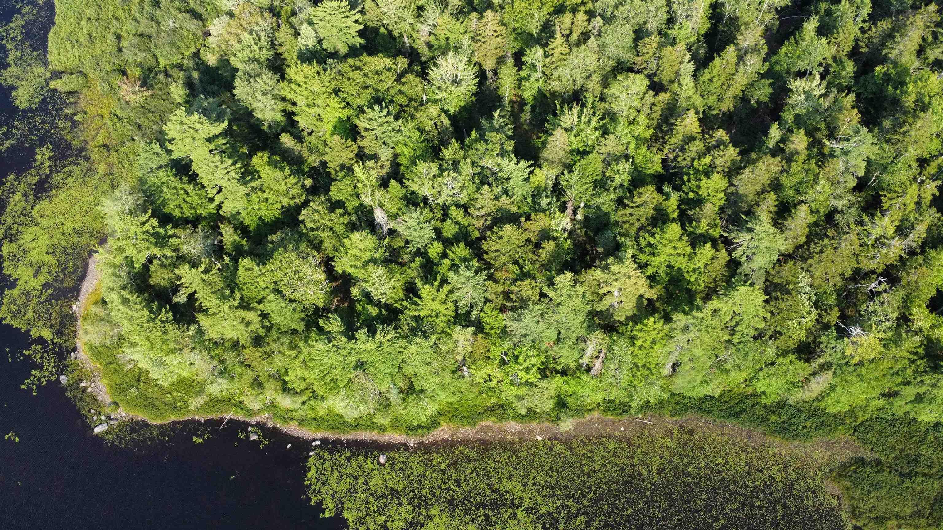 $25,000.00: Lot PID# 60668795 Highway 325, West Clifford