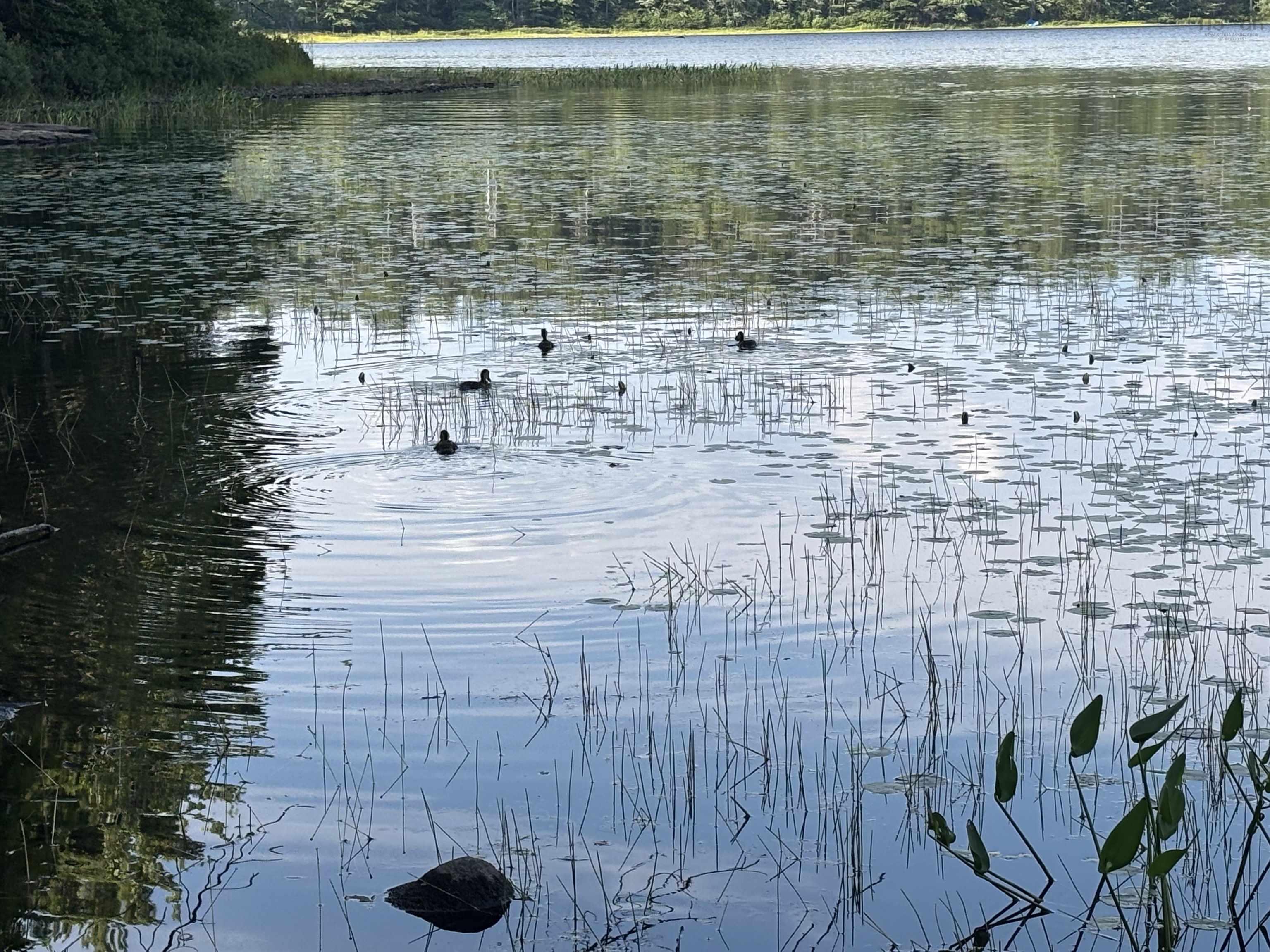 $25,000.00: Lot PID# 60668795 Highway 325, West Clifford