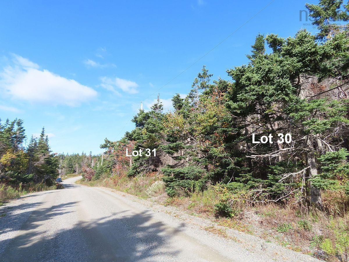 $69,000.00: Lot 31 Belfry Lake Road, Gabarus Lake