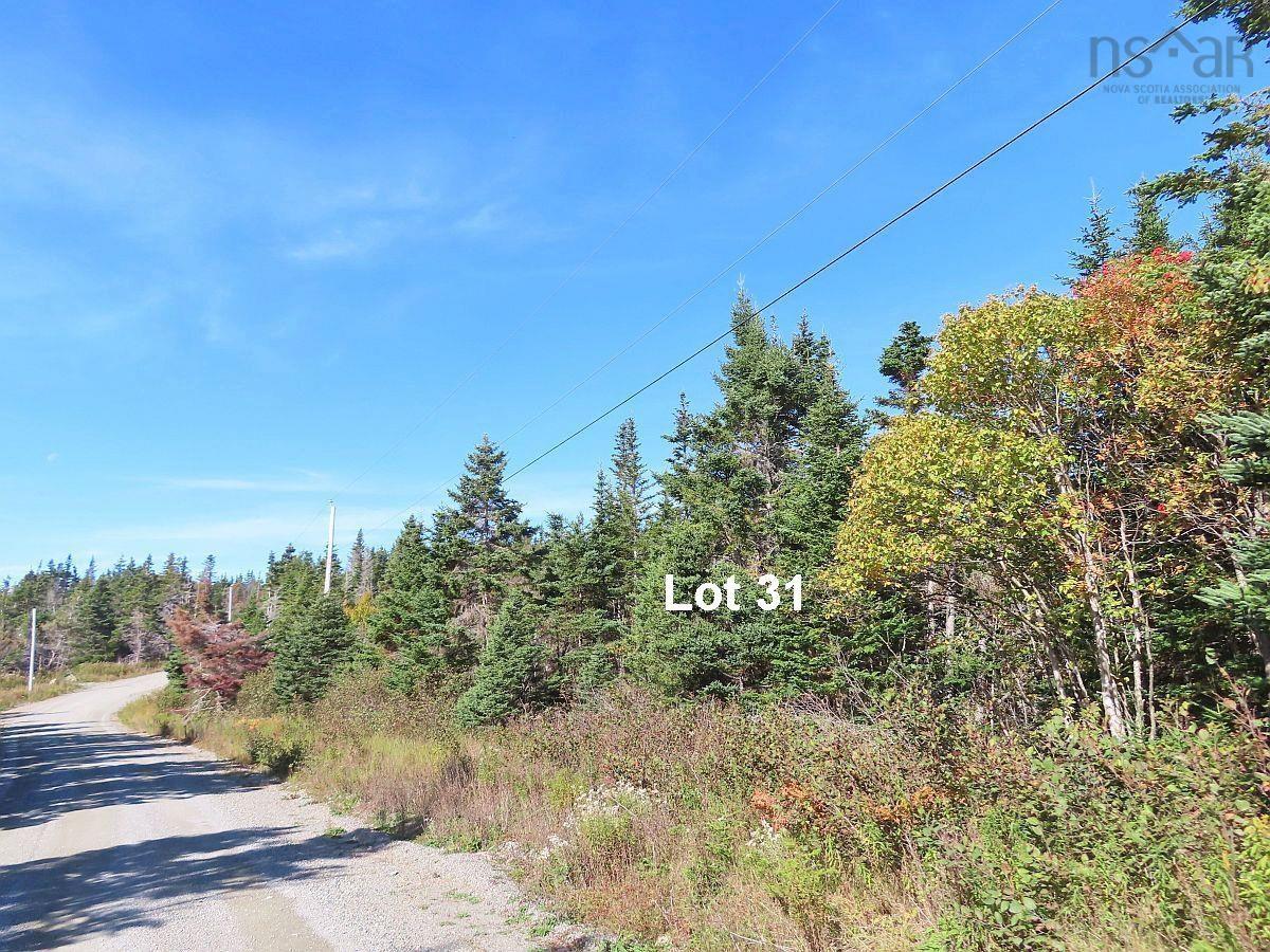 $69,000.00: Lot 31 Belfry Lake Road, Gabarus Lake