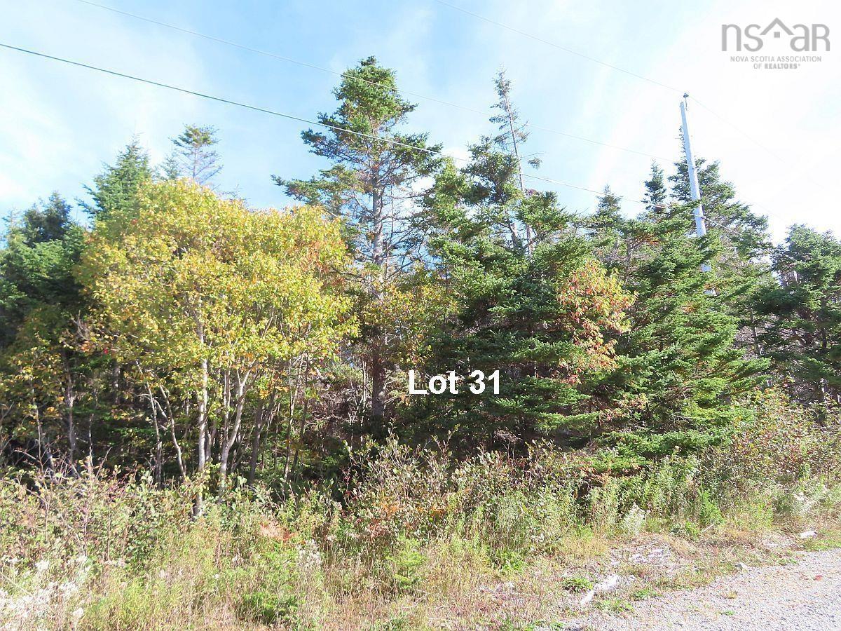 $69,000.00: Lot 31 Belfry Lake Road, Gabarus Lake