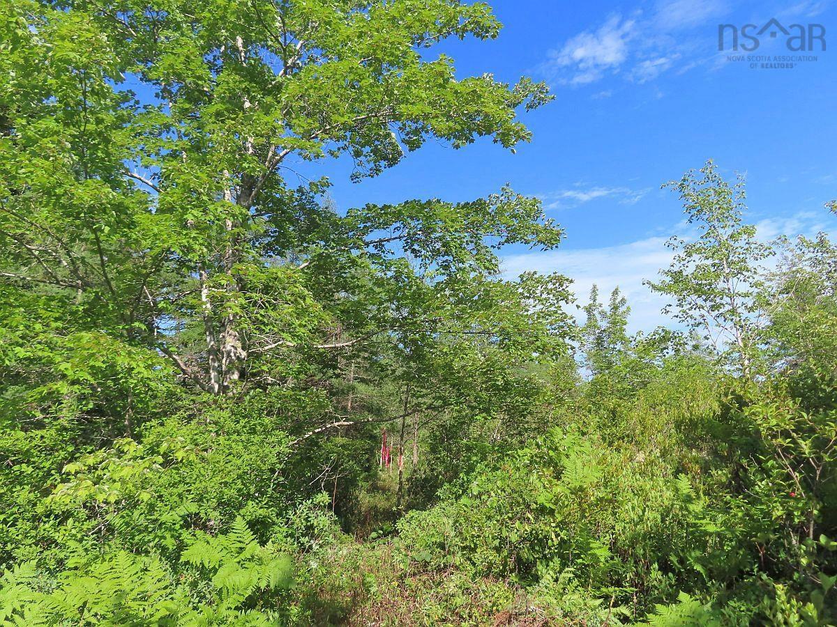 $289,000.00: 7 Lot Subdiv Hwy 320, Lennox Passage