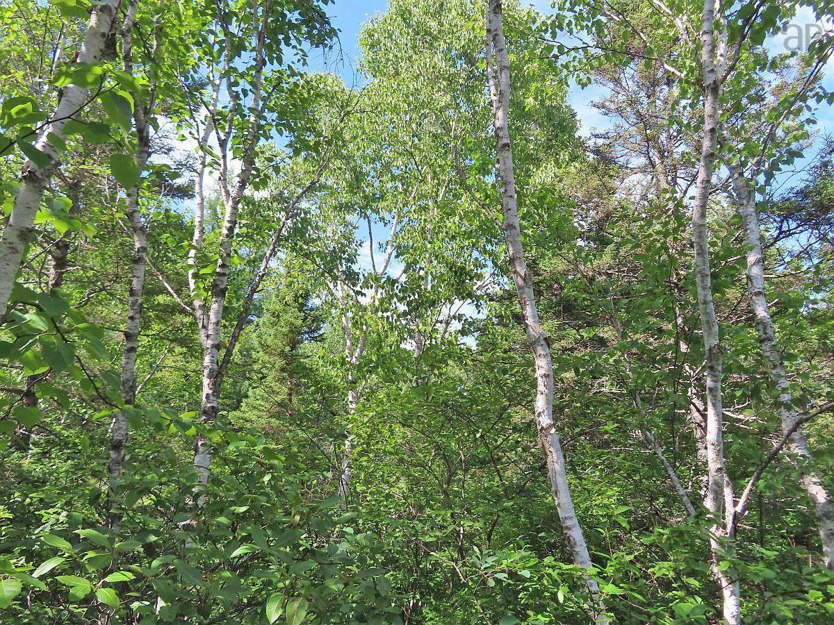 $289,000.00: 7 Lot Subdiv Hwy 320, Lennox Passage