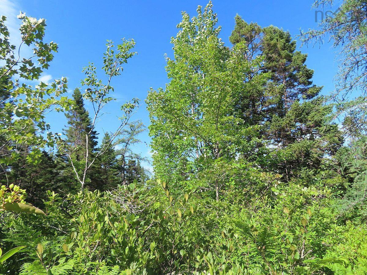 $289,000.00: 7 Lot Subdiv Hwy 320, Lennox Passage