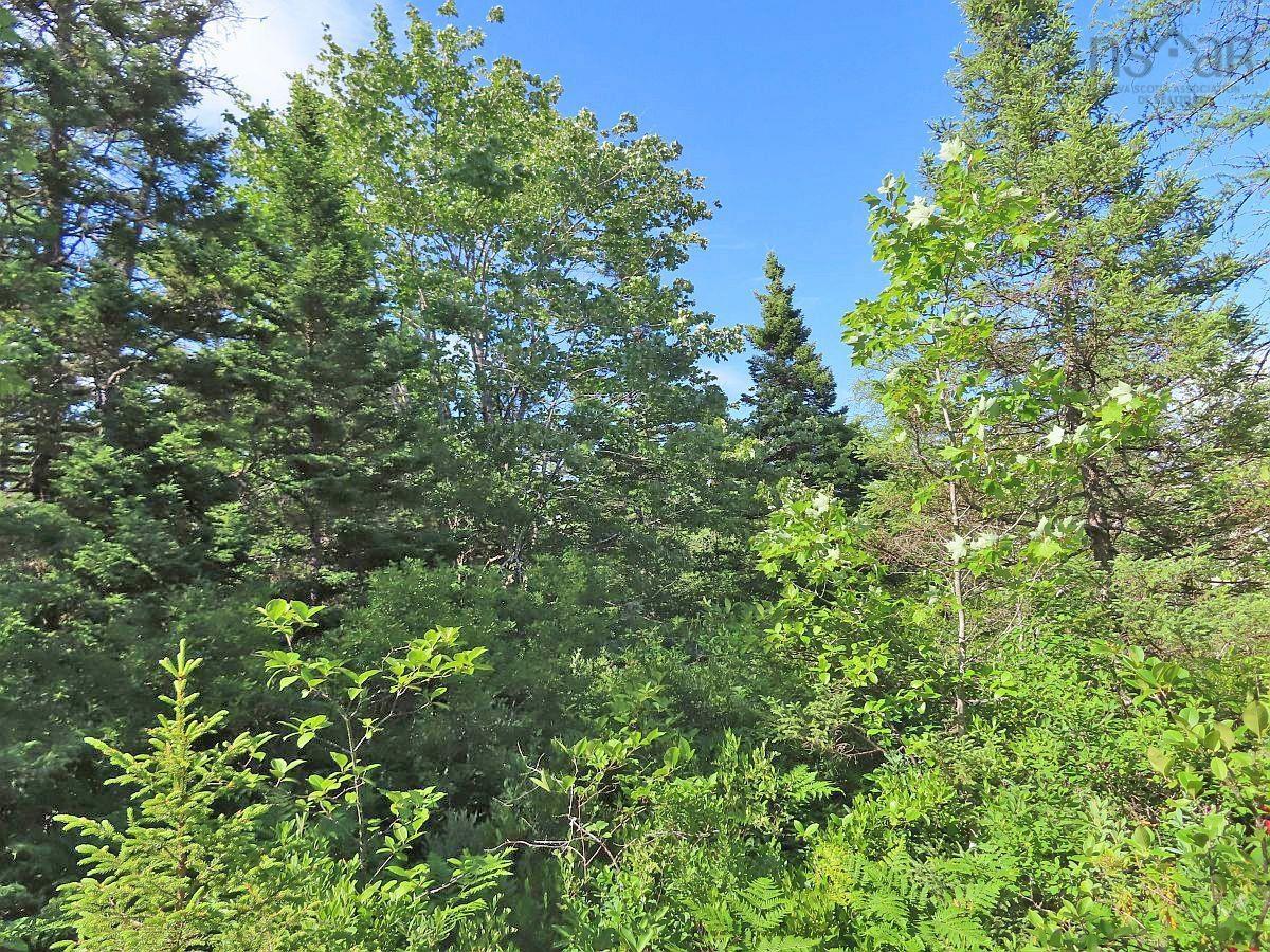 $289,000.00: 7 Lot Subdiv Hwy 320, Lennox Passage