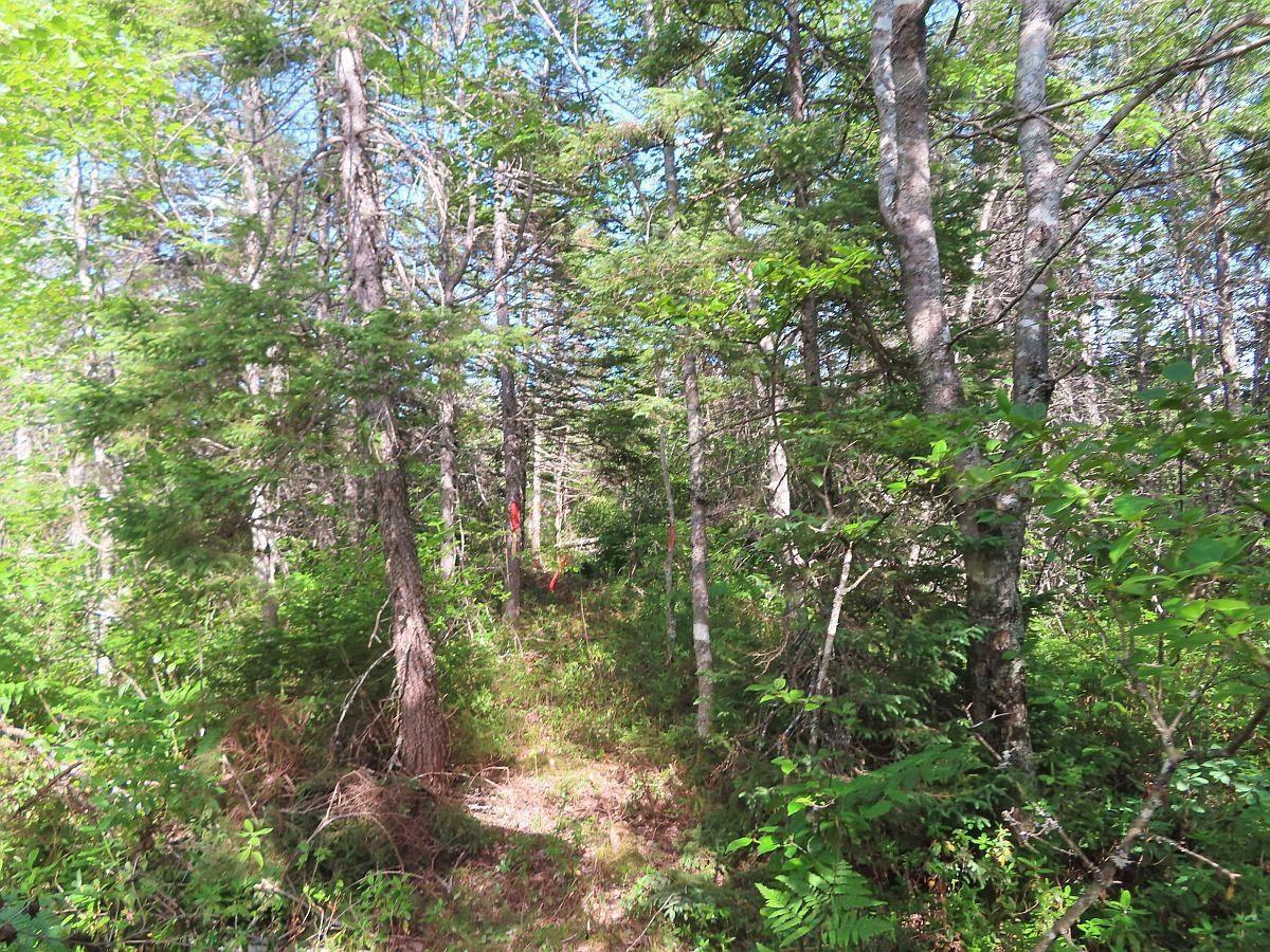 $289,000.00: 7 Lot Subdiv Hwy 320, Lennox Passage