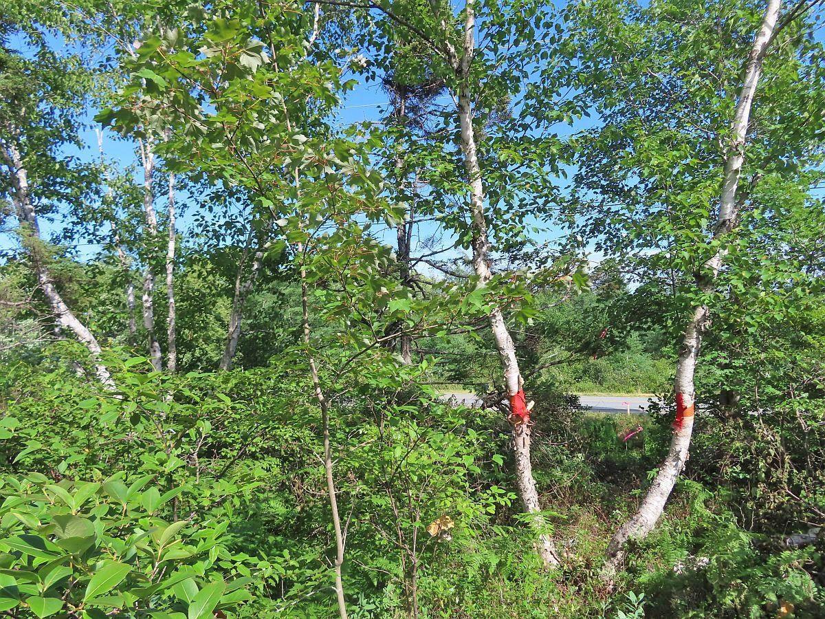 $289,000.00: 7 Lot Subdiv Hwy 320, Lennox Passage