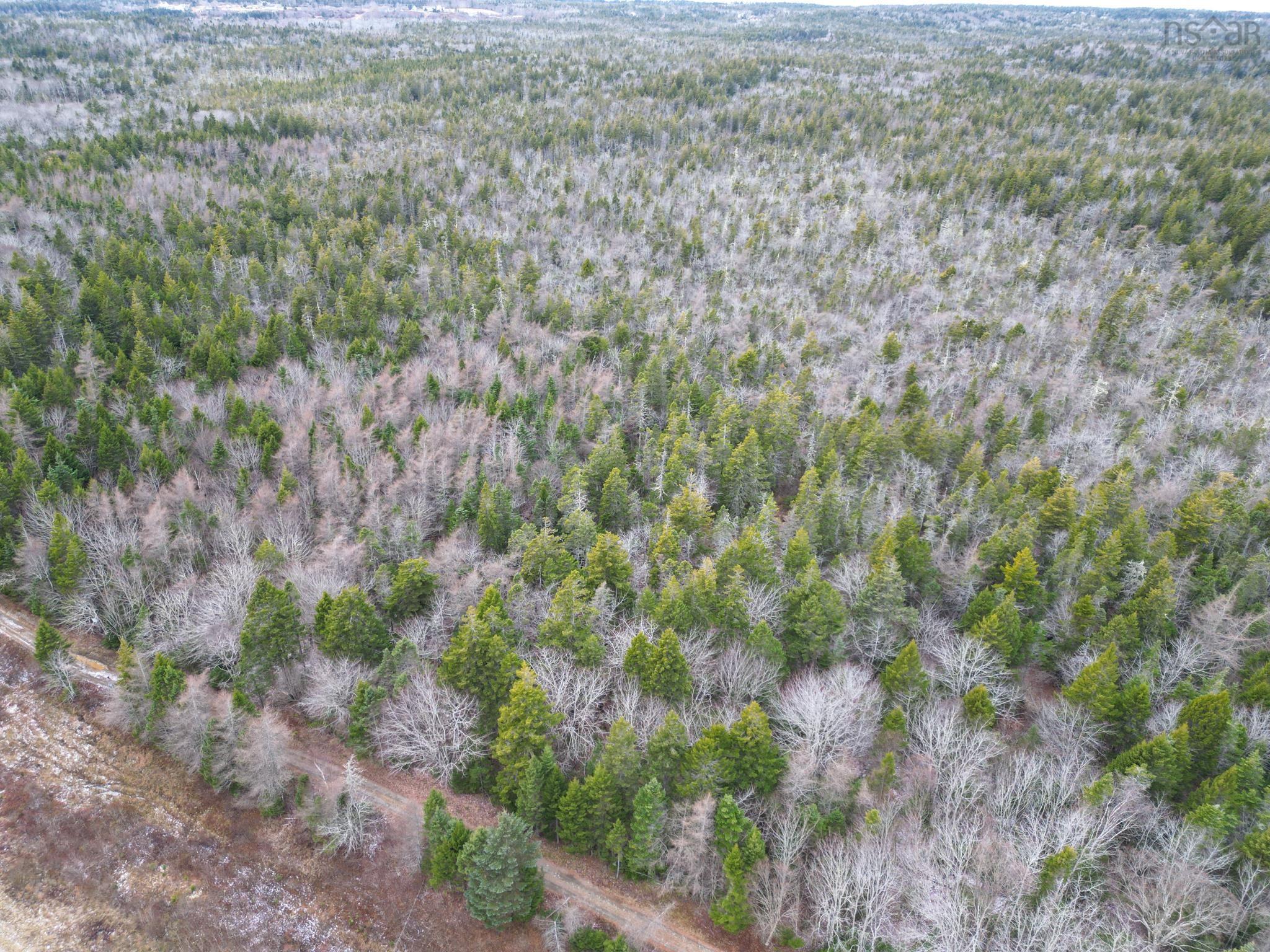 Lot Highway 101, St. Alphonse, NS (MLS 202529490)