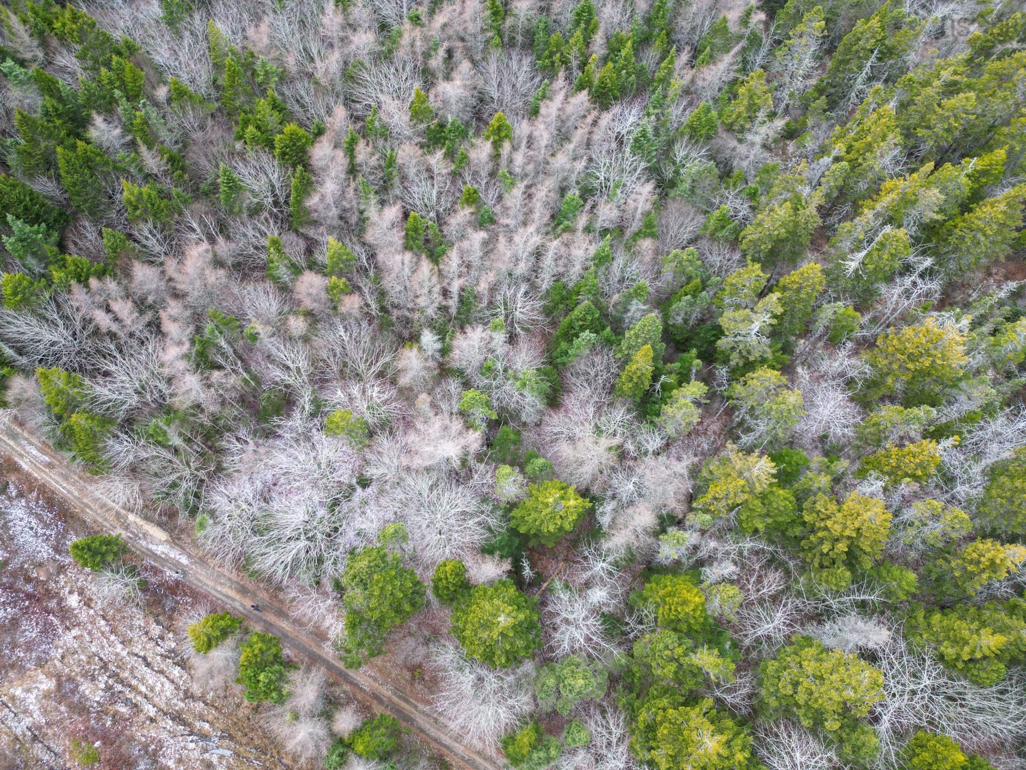 $20,000.00: Lot Highway 101, St. Alphonse