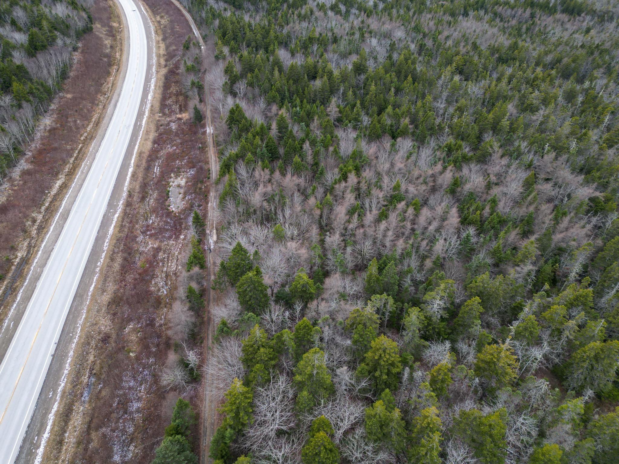 $20,000.00: Lot Highway 101, St. Alphonse