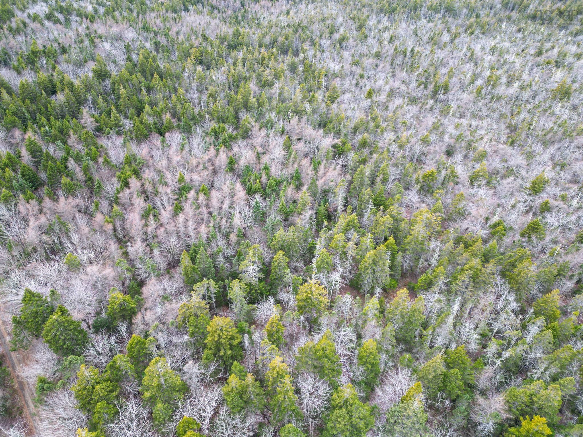 $20,000.00: Lot Highway 101, St. Alphonse