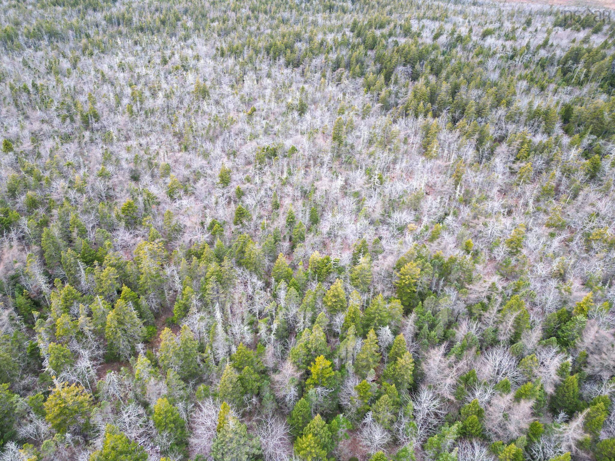 $20,000.00: Lot Highway 101, St. Alphonse